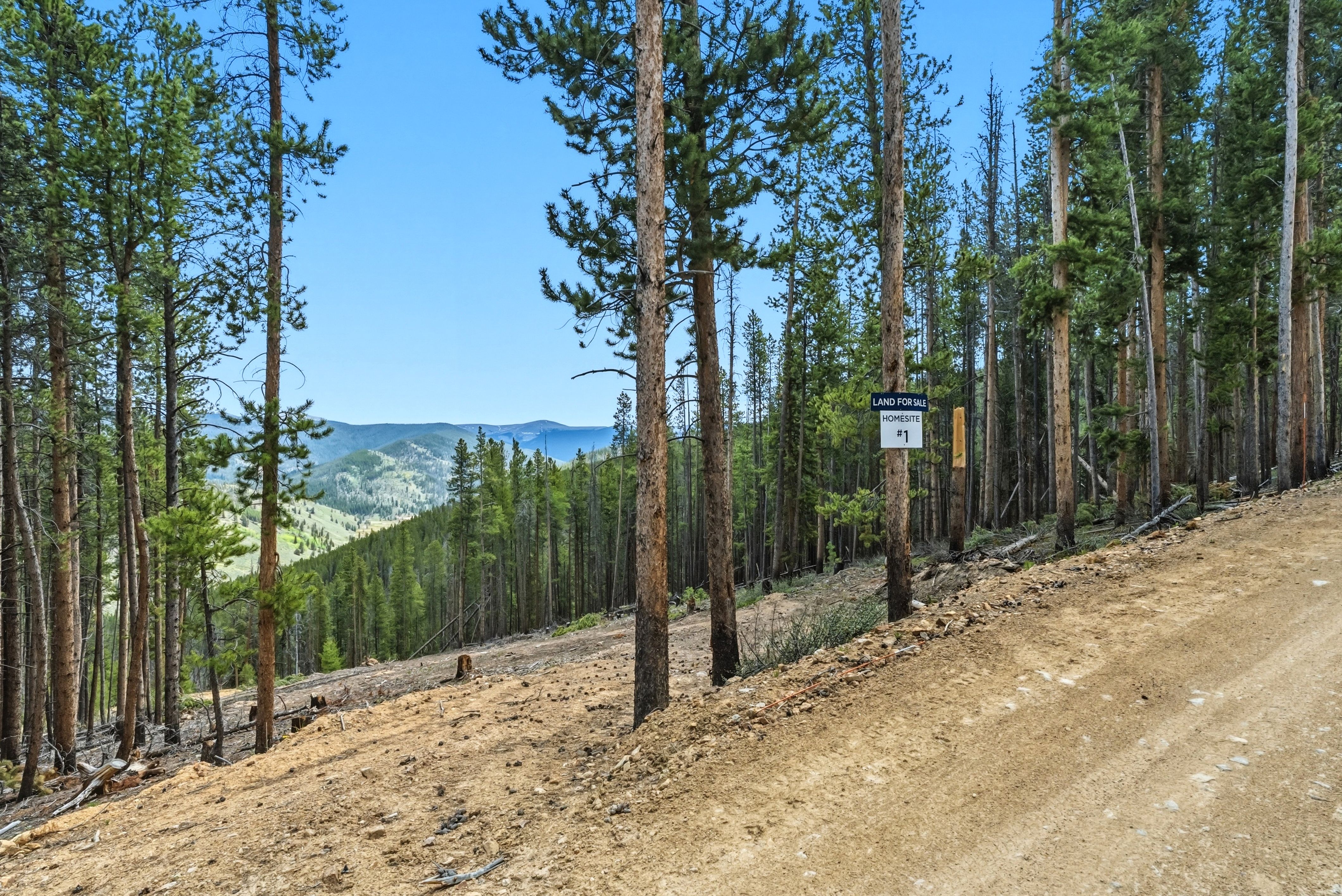 653 Summit Gulch Road 