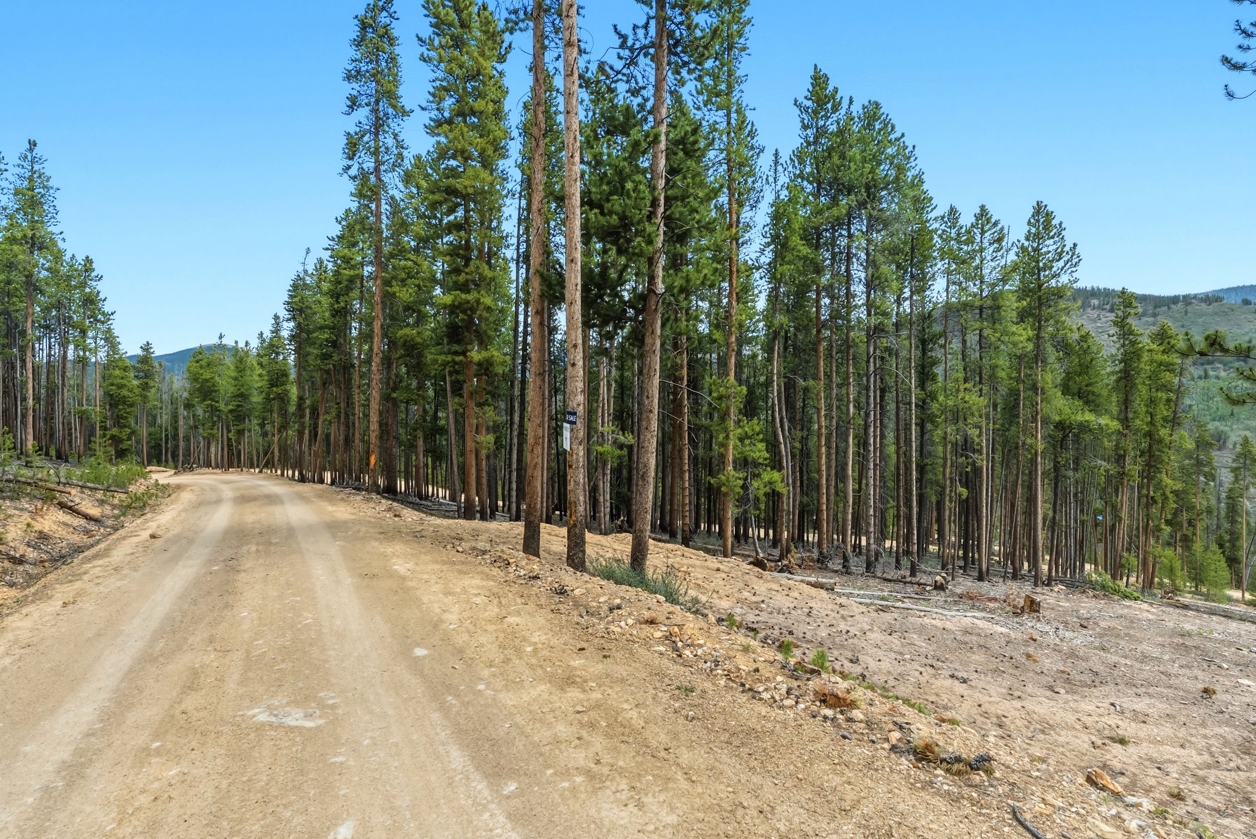653 Summit Gulch Road 
