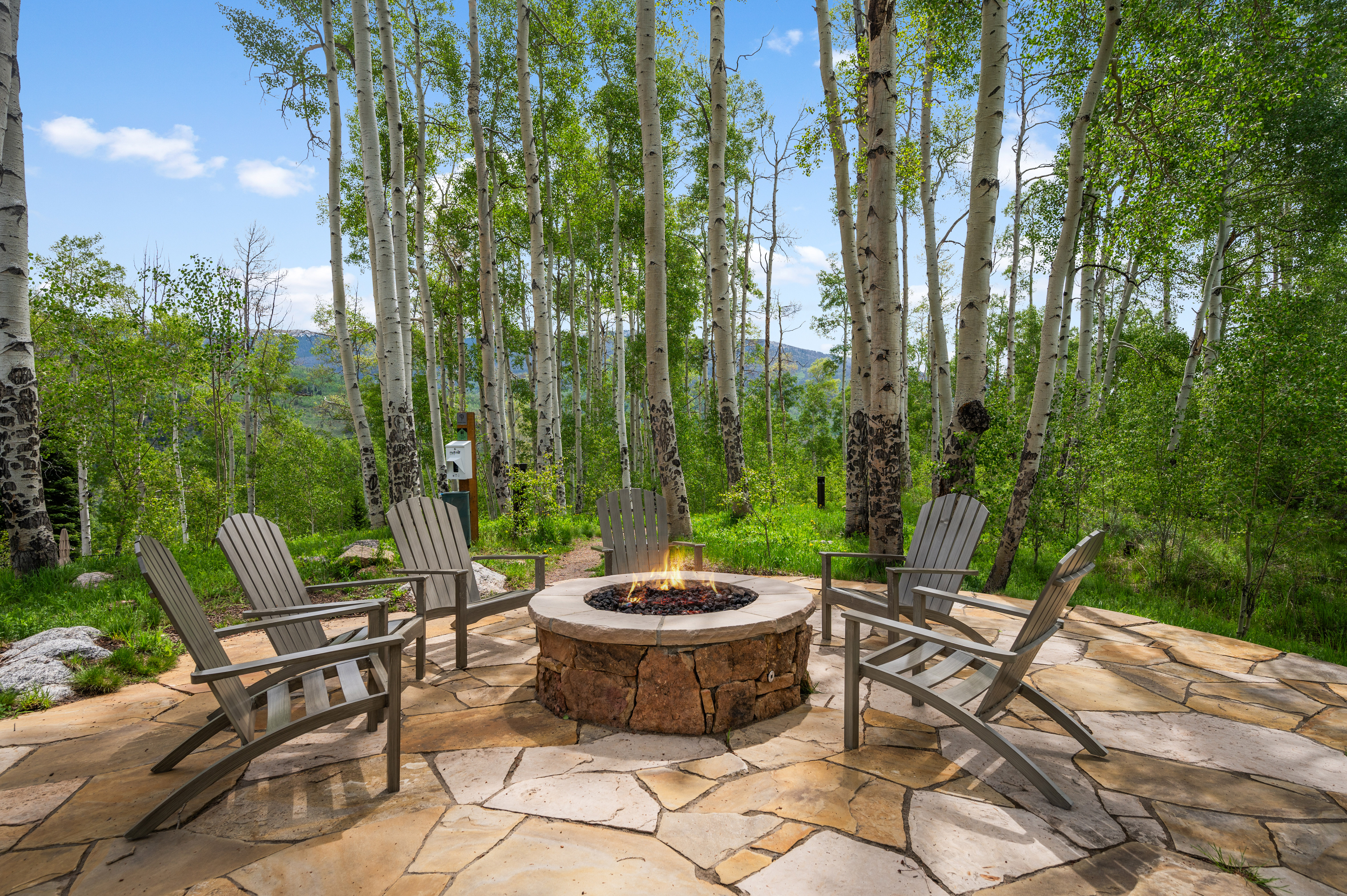 1141 Maryland Creek Road 