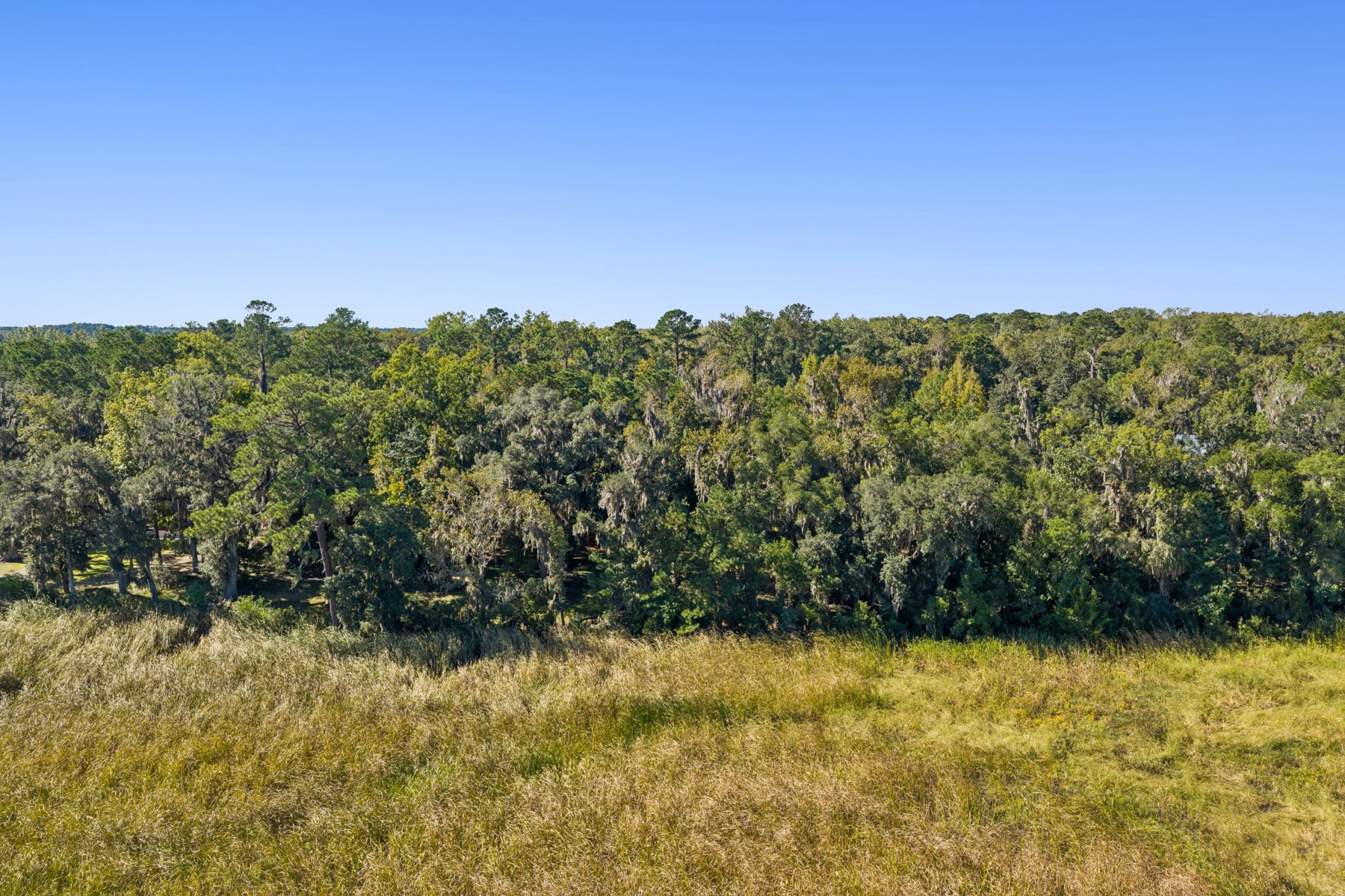 431 McAllister Landing