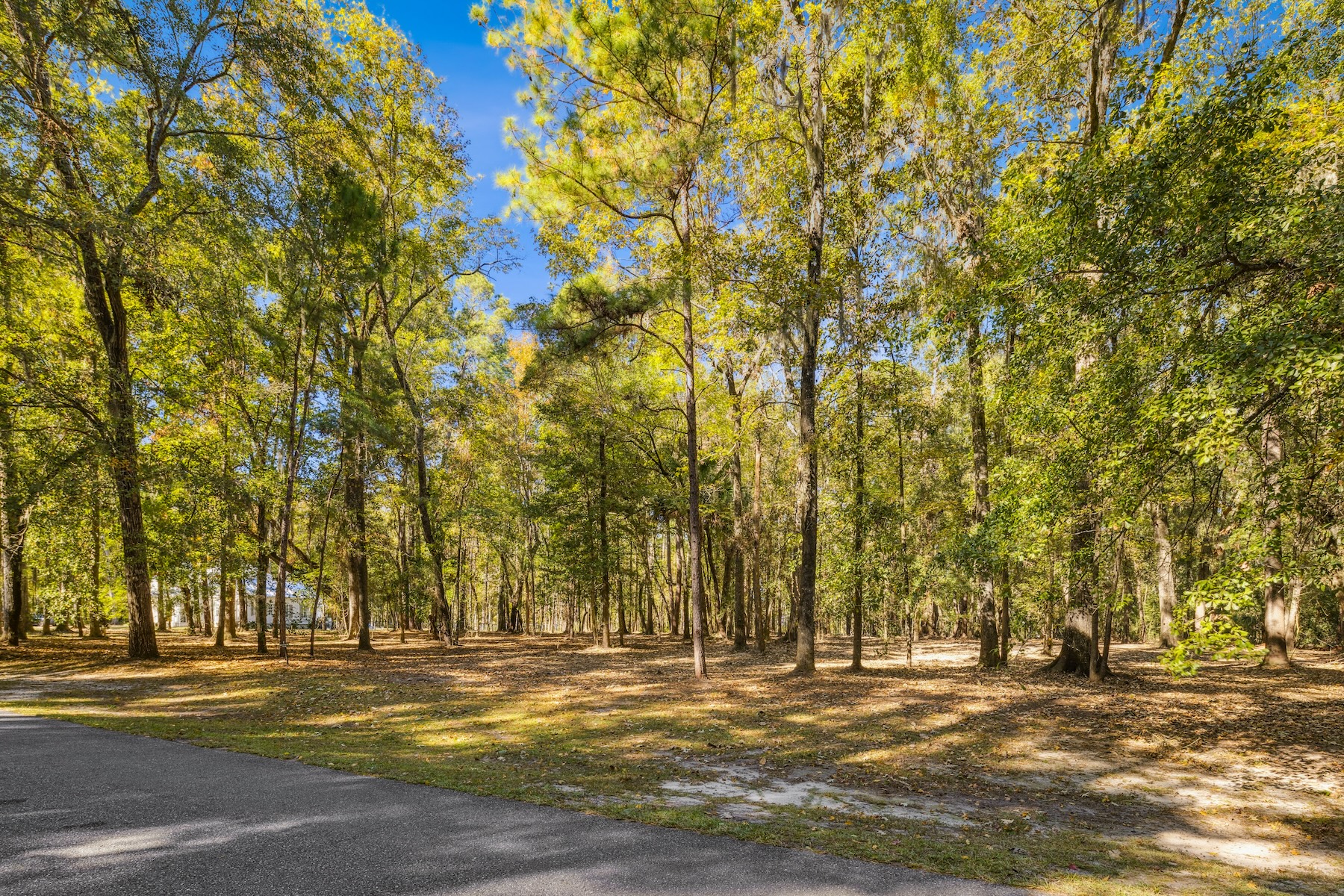 217 McAllister Landing