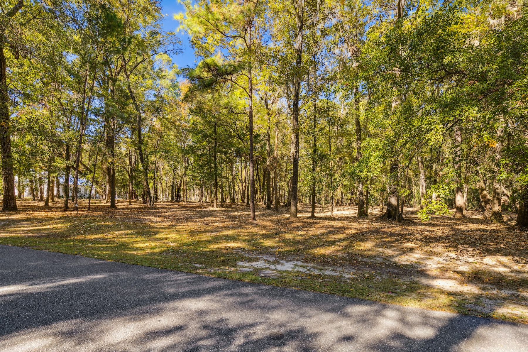 217 McAllister Landing