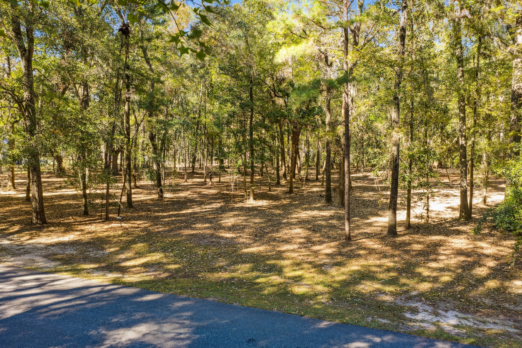 217 McAllister Landing