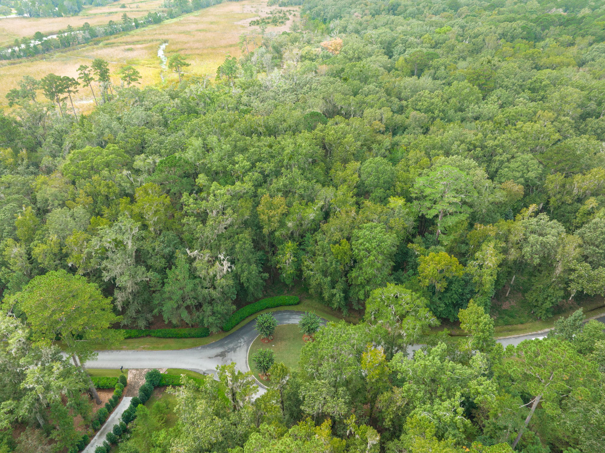 430 McAllister Landing