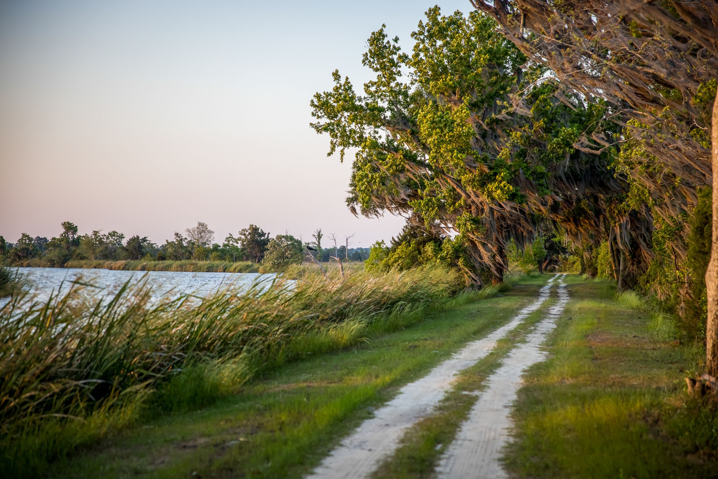 430 McAllister Landing