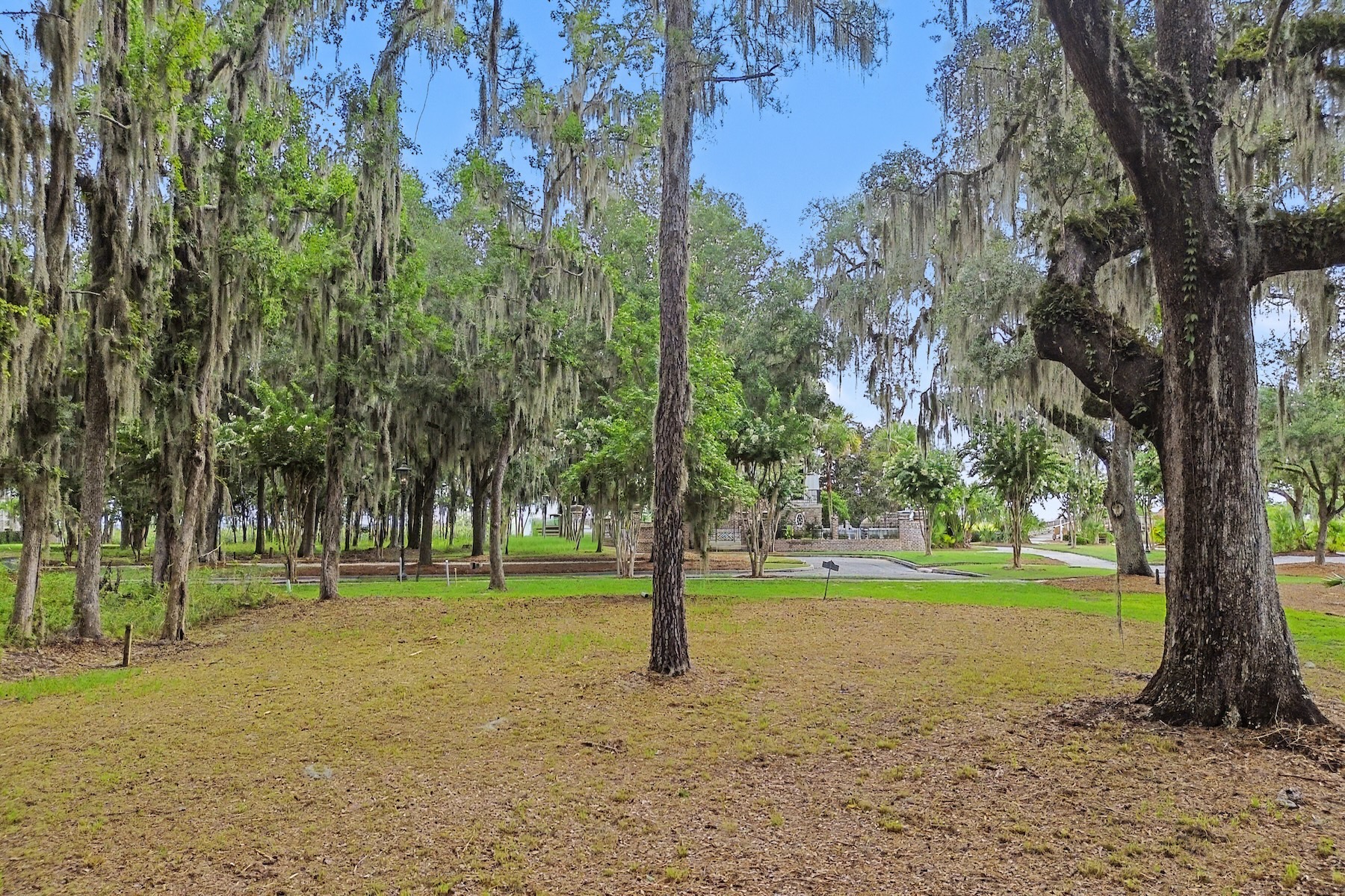 753 McAllister Landing