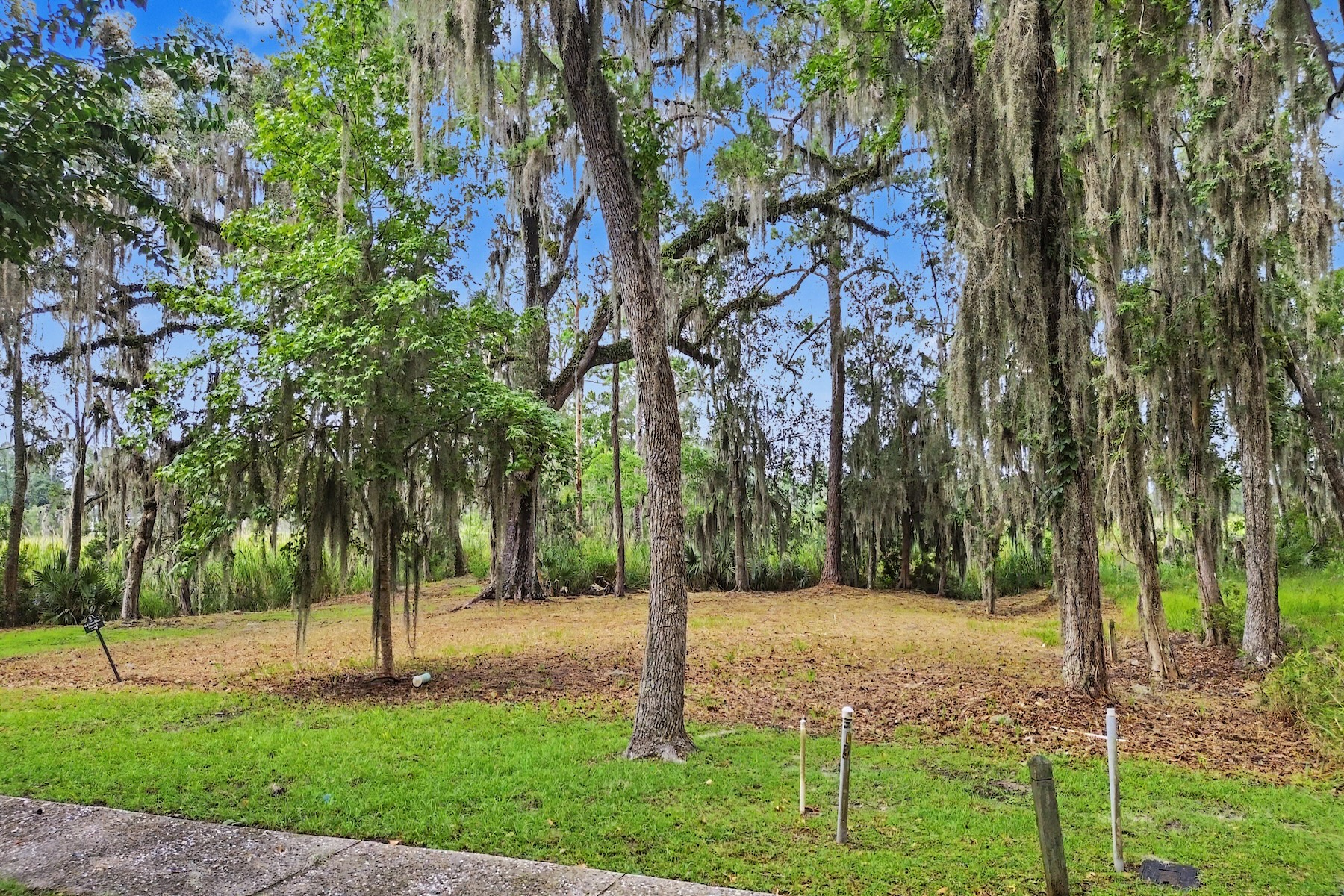 753 McAllister Landing