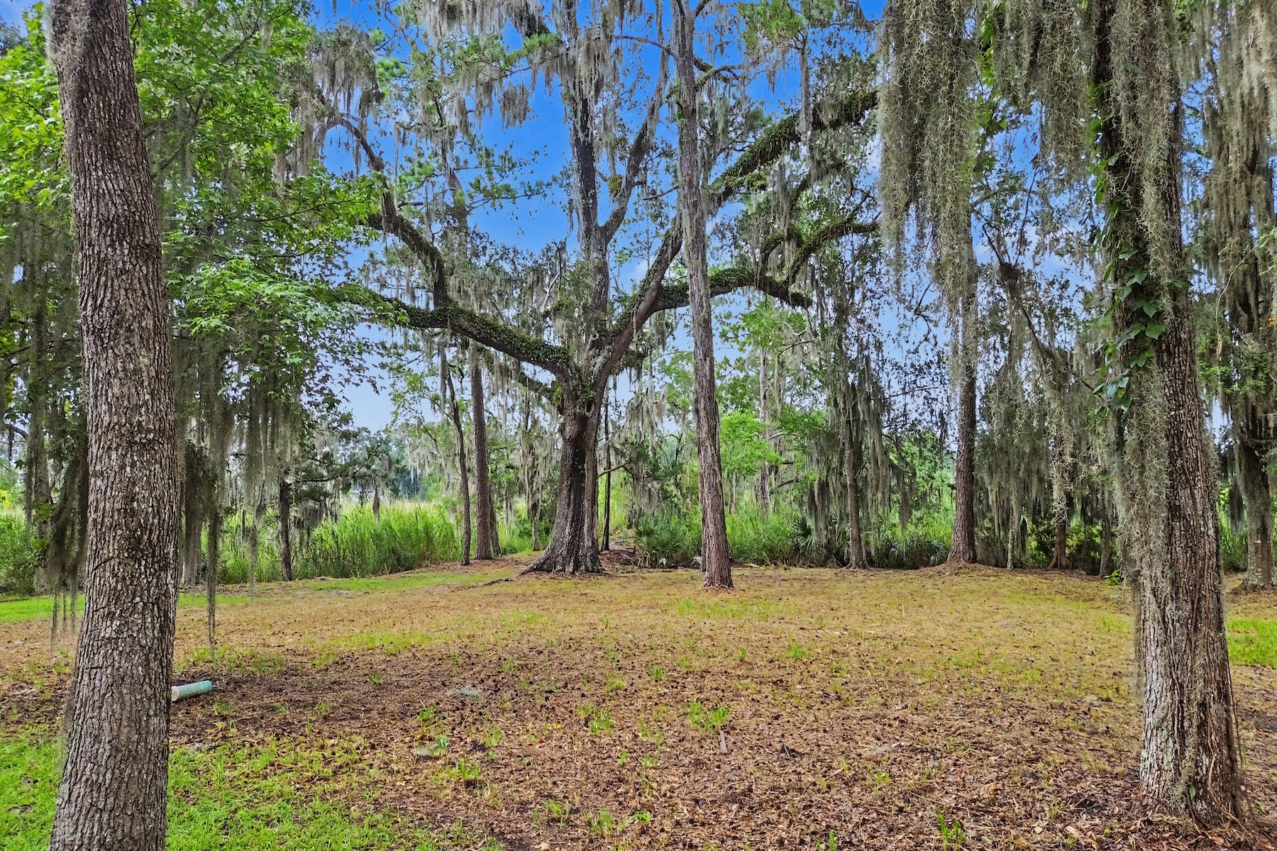 753 McAllister Landing
