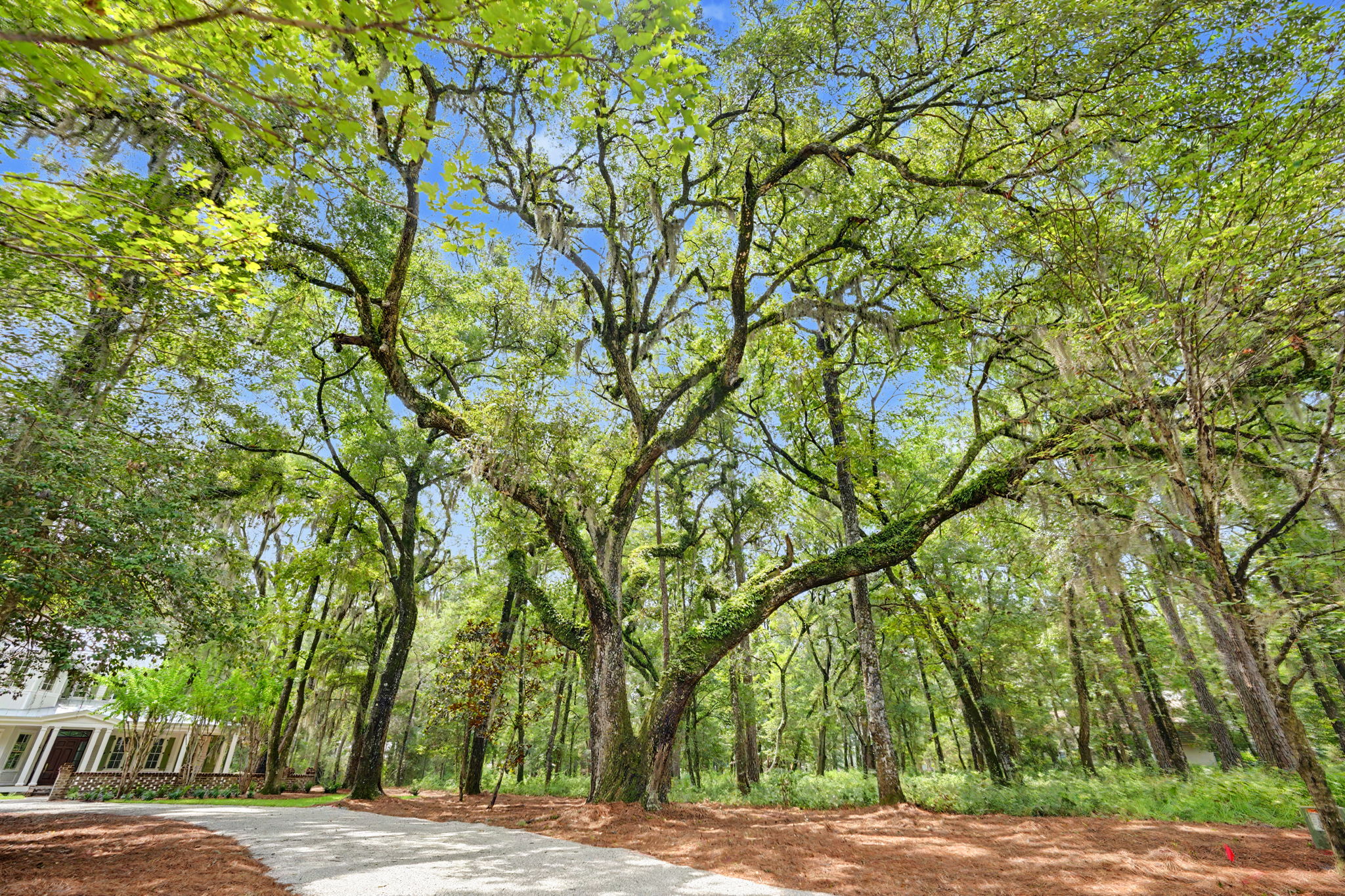328 Ogeechee Lane