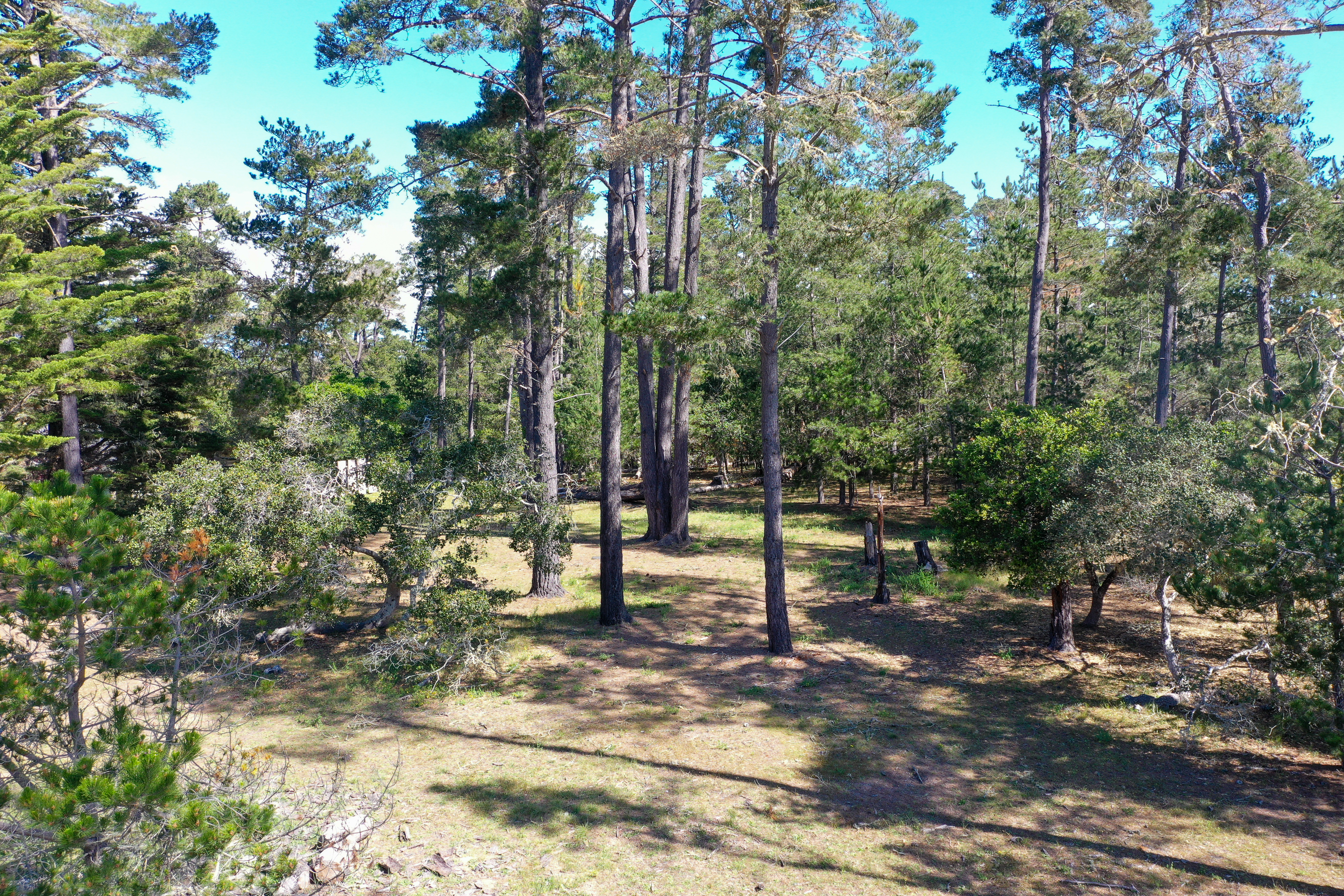 Buckley Drive, Lot 21 