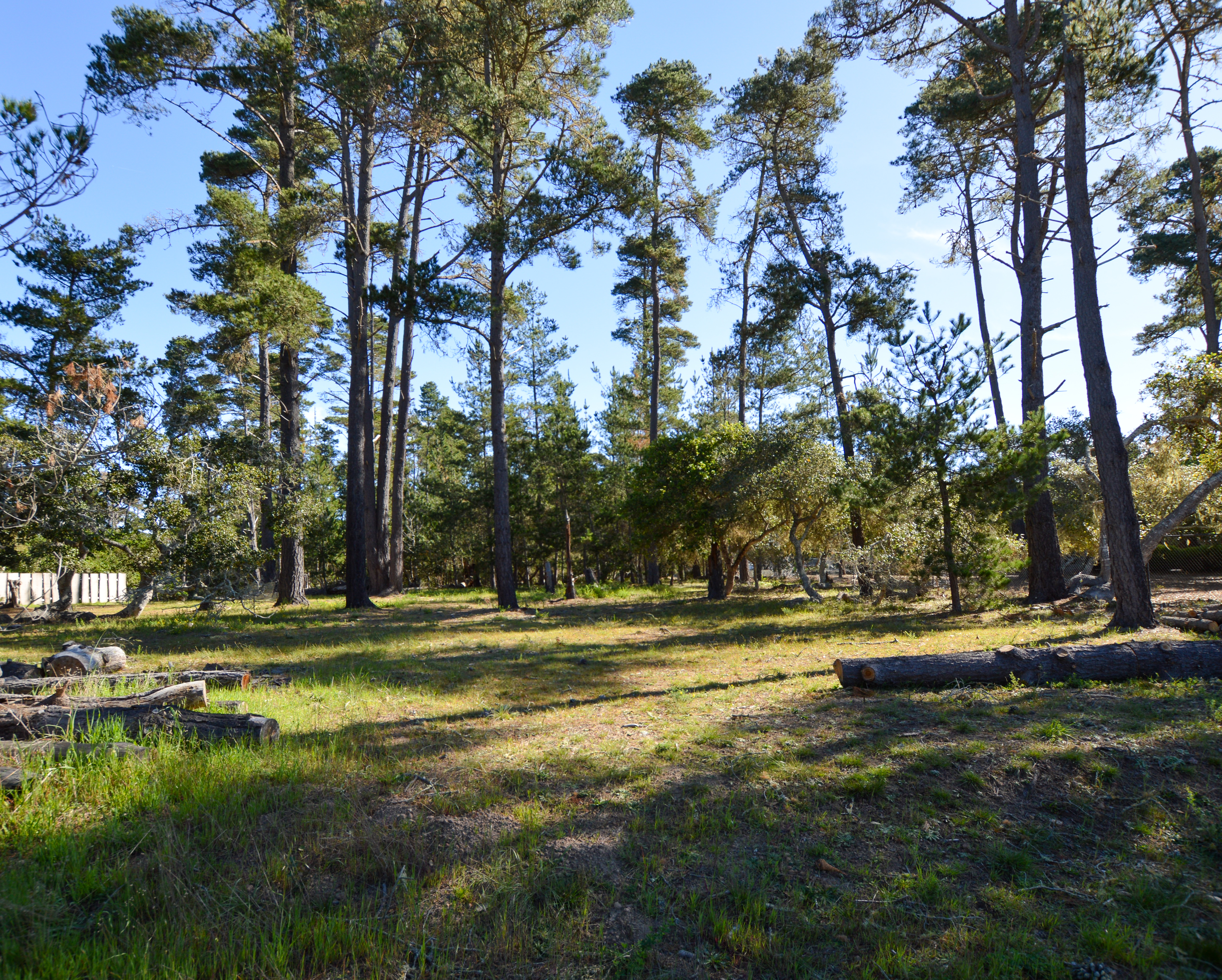 Buckley Drive, Lot 21 