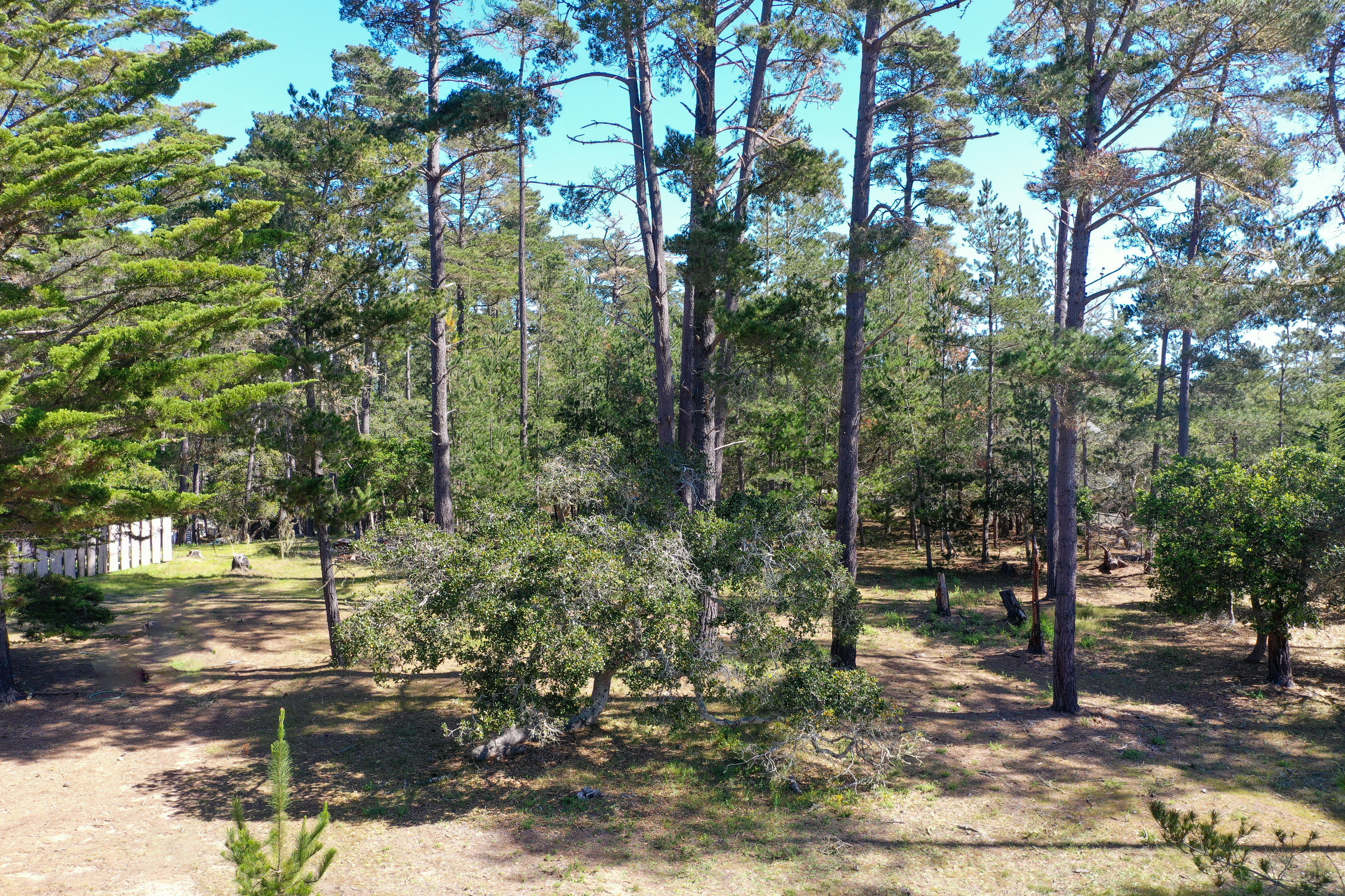 Buckley Drive, Lot 21 