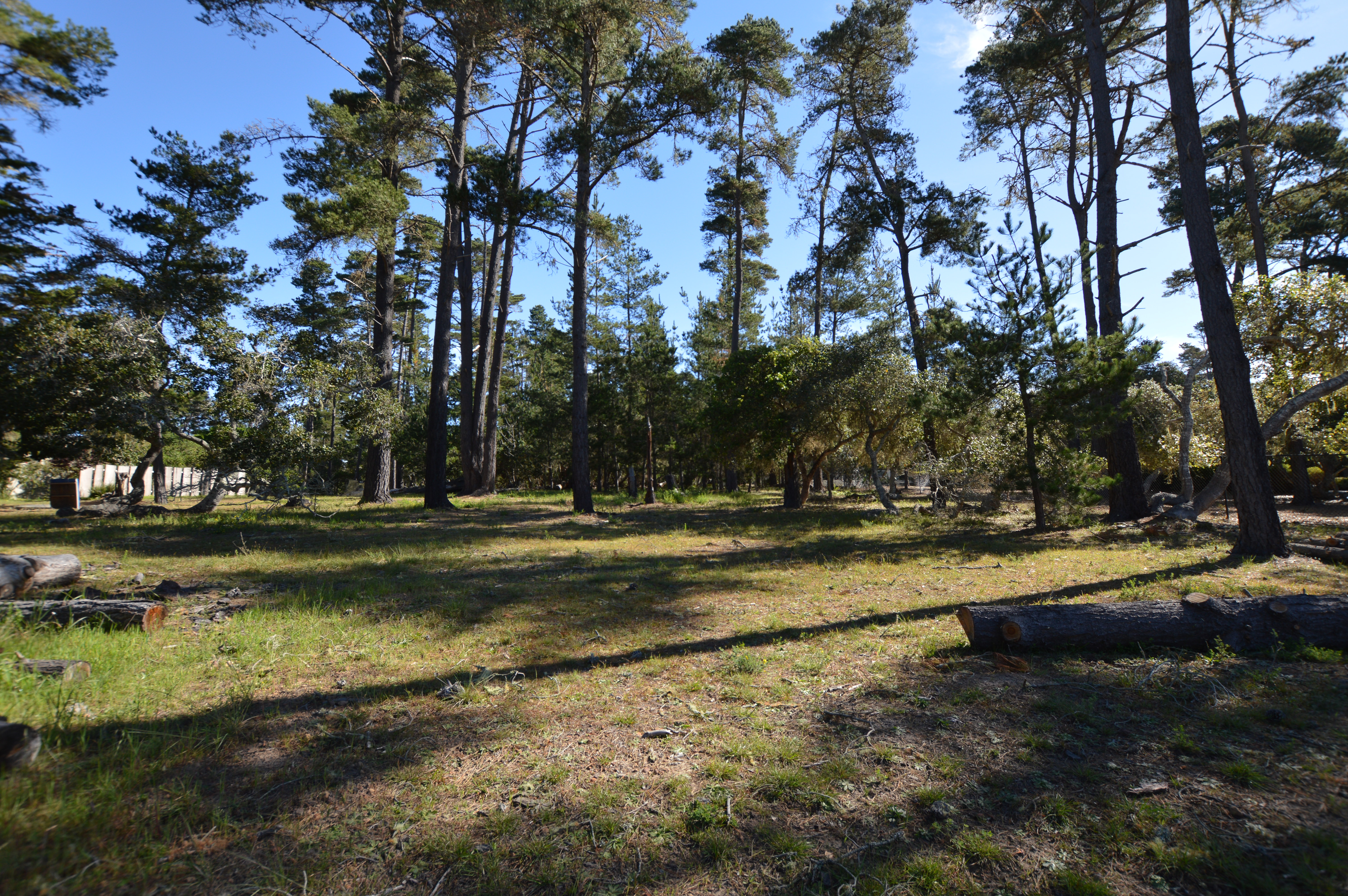 Buckley Drive, Lot 21 