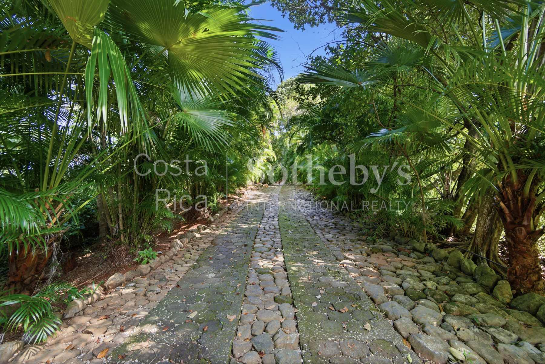 Nosara | Guiones