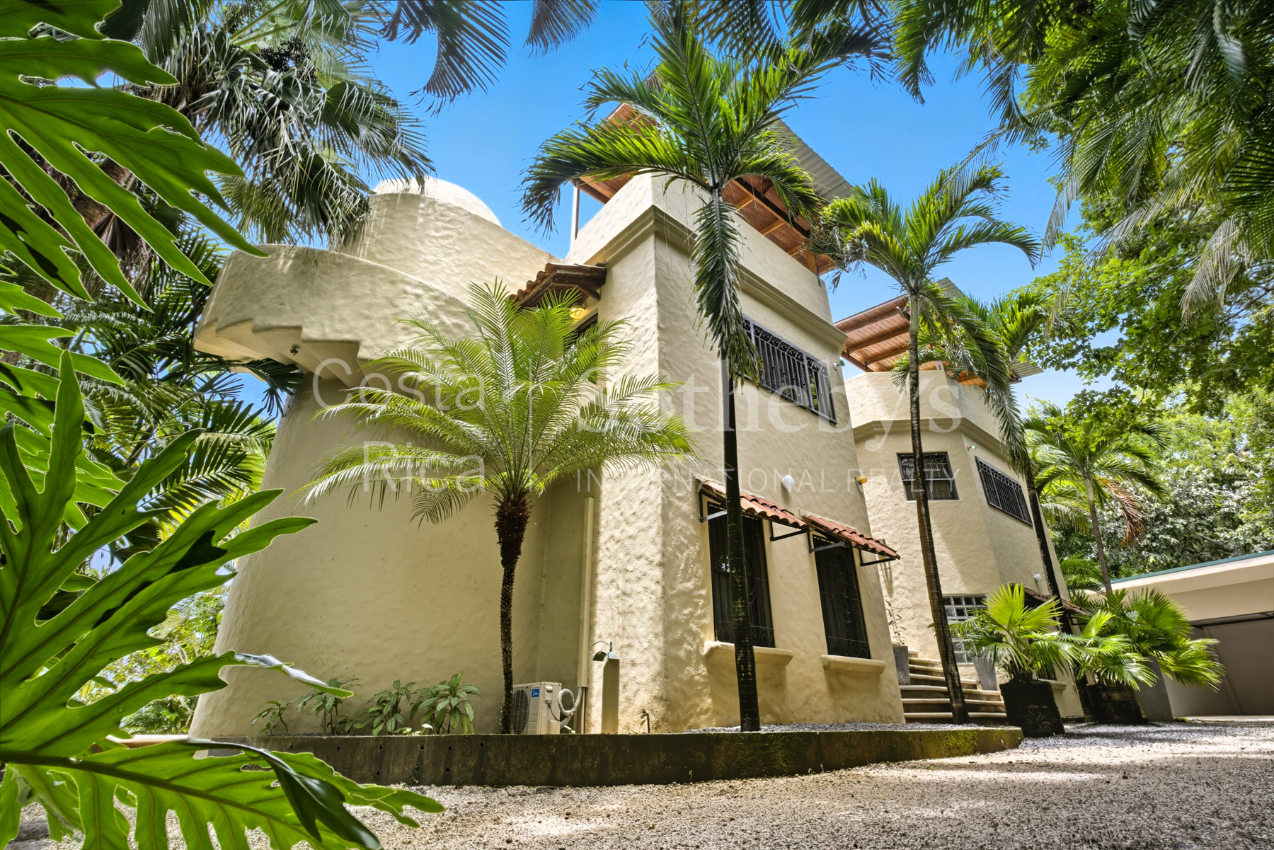 Nosara | Guiones