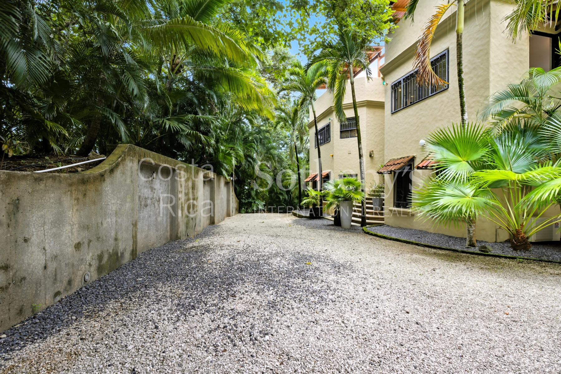Nosara | Guiones