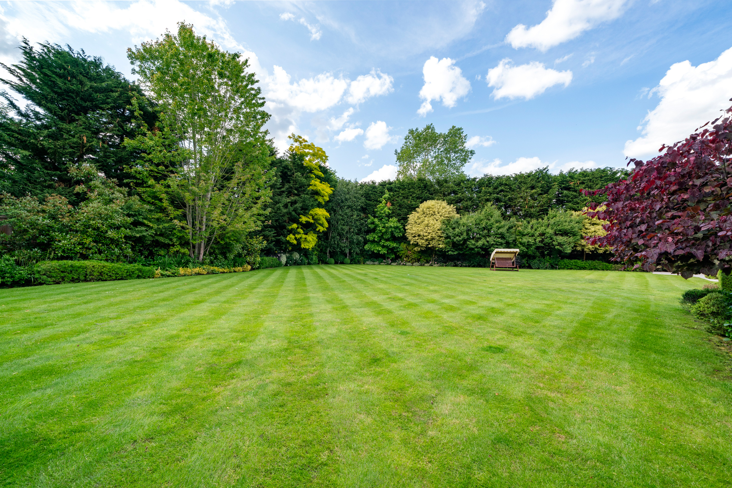 Wychwood House Crown Estate Oxshott
