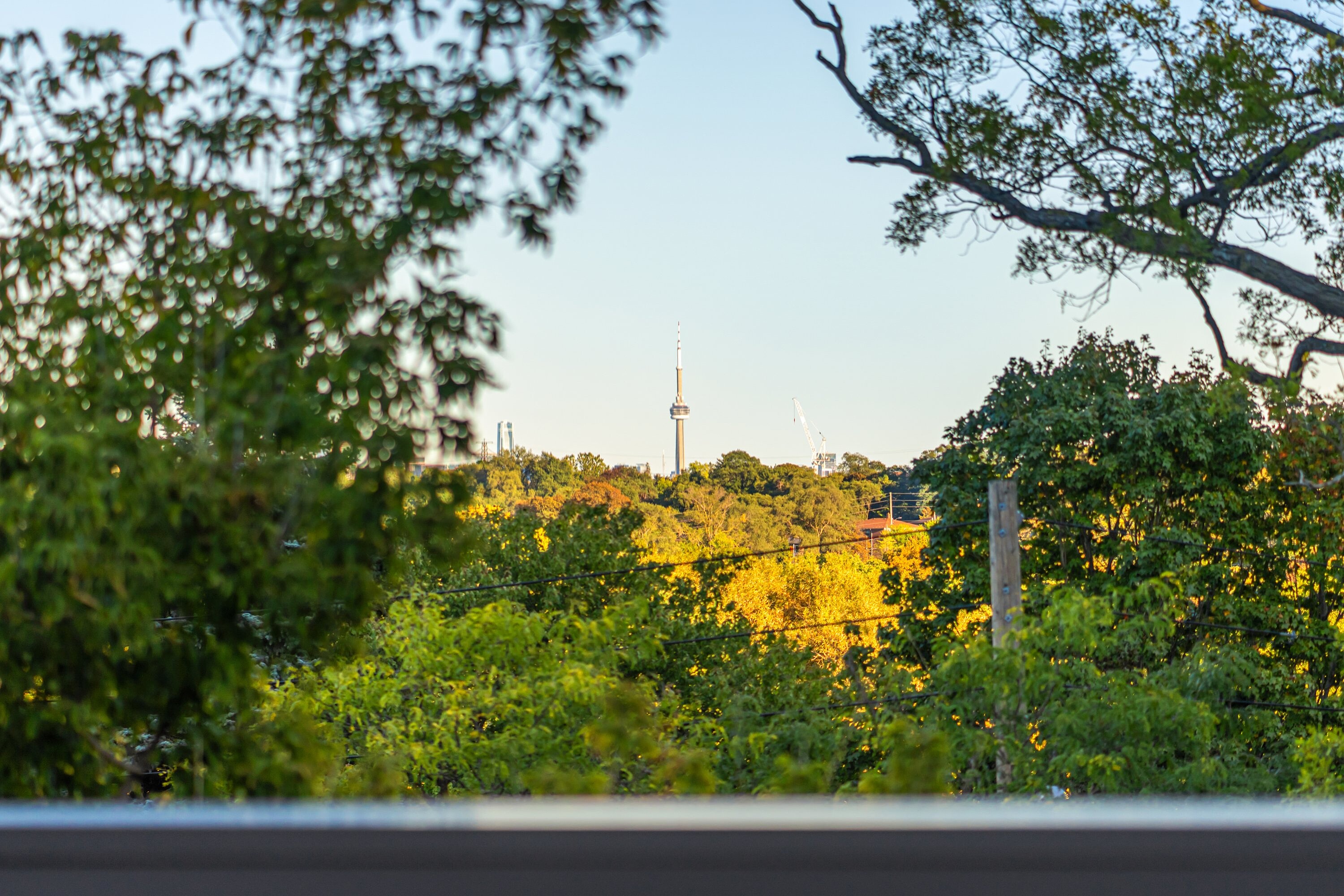 7 North Dr
