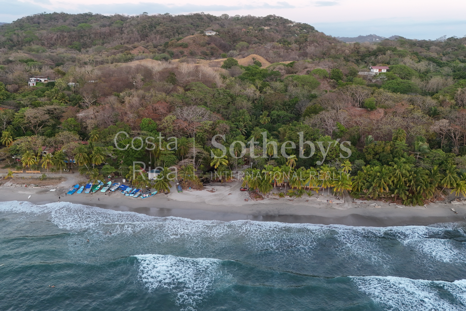 Nosara | Guiones