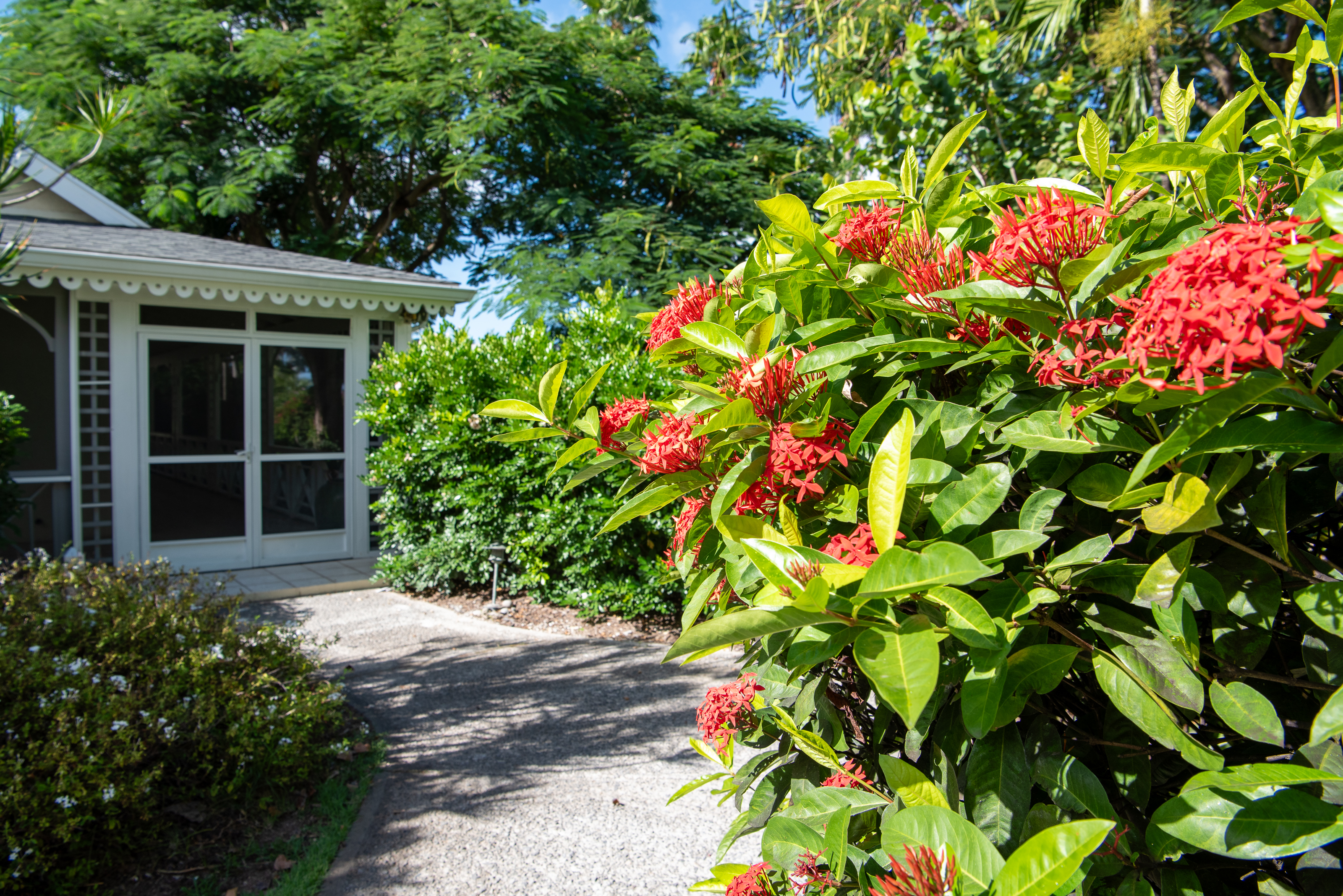 Palm Grove - Villa 1418 