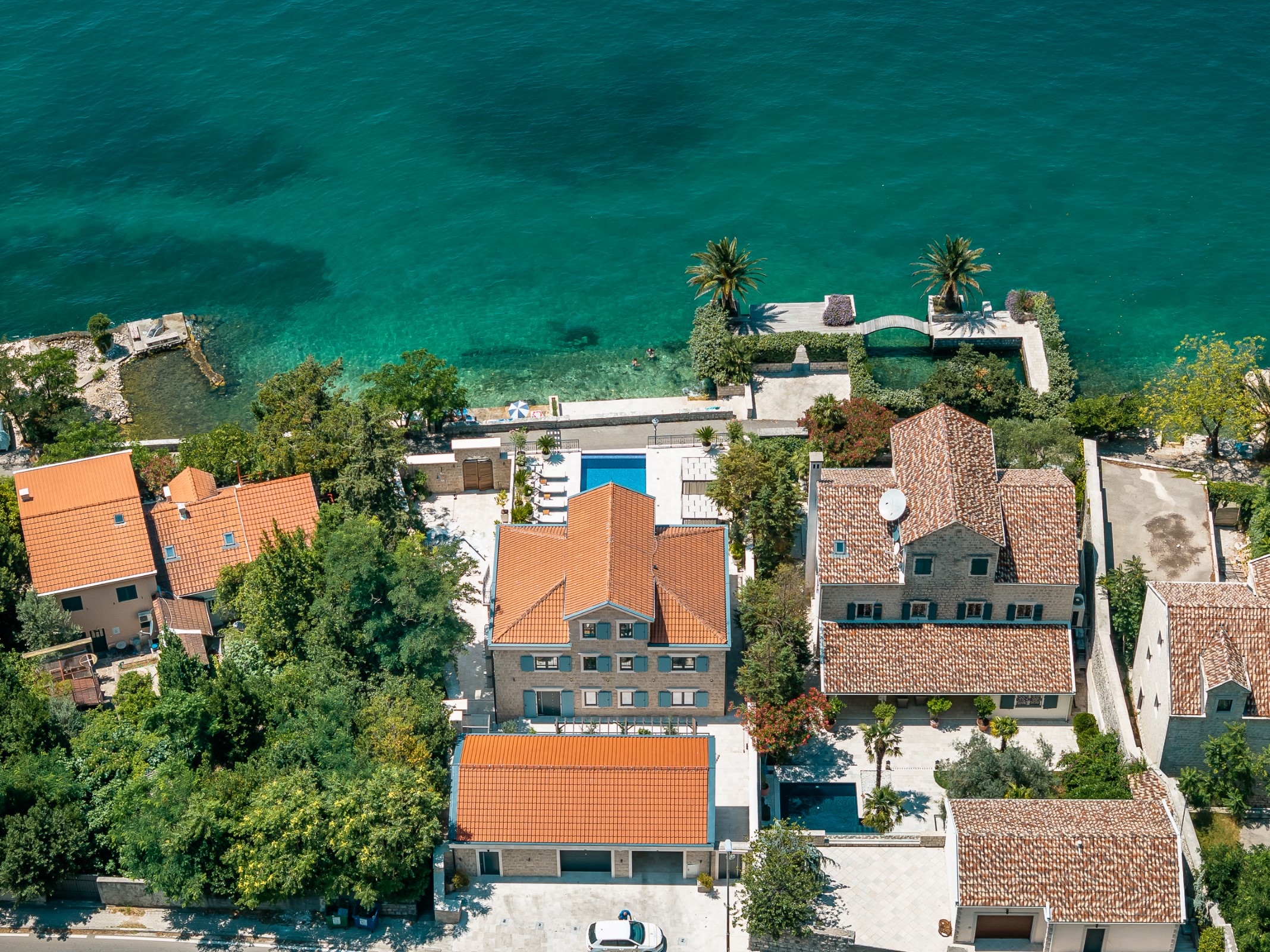 Ljuta