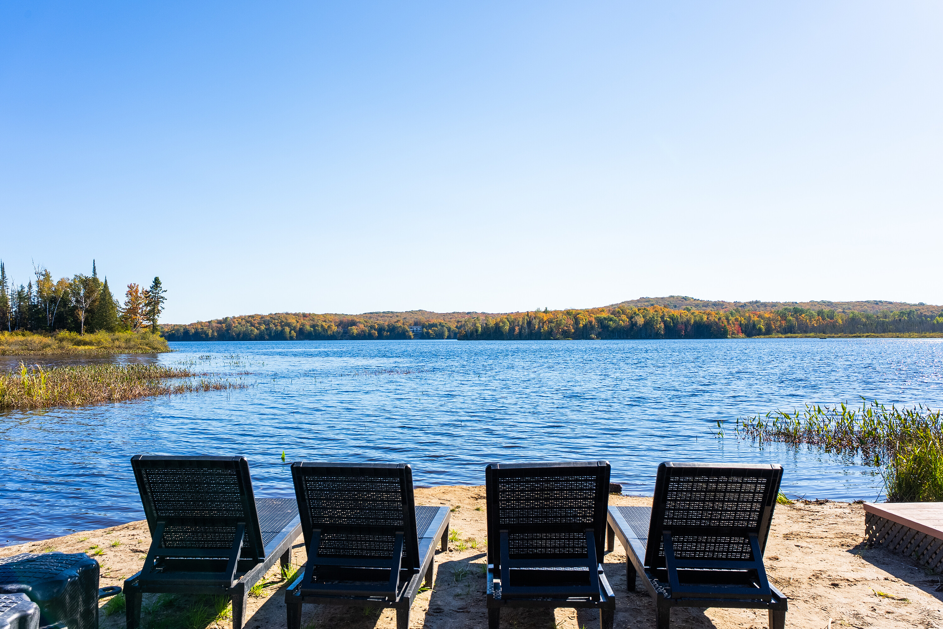 1445 Pickerel Jack Lake Rd. E.