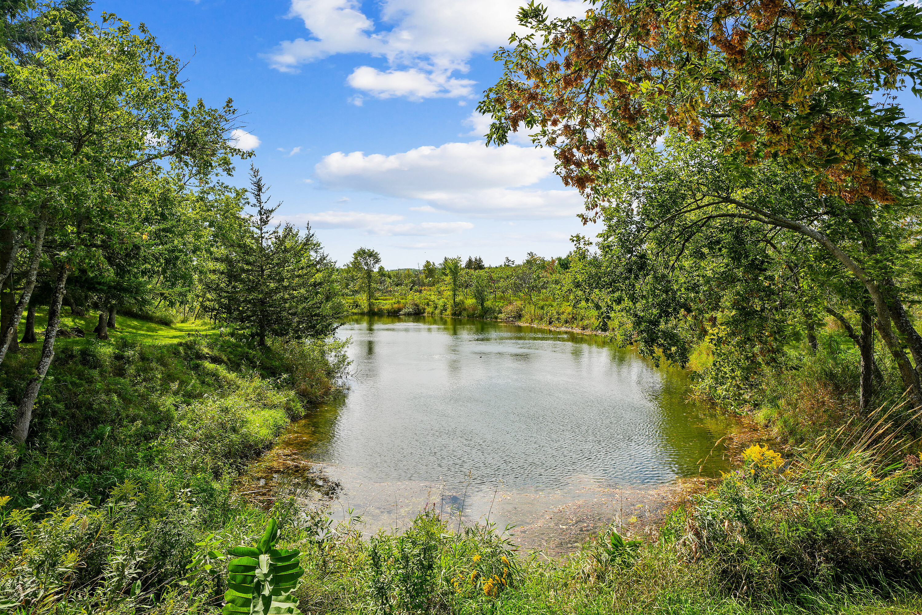 401 Concession  Road 11 East Rd