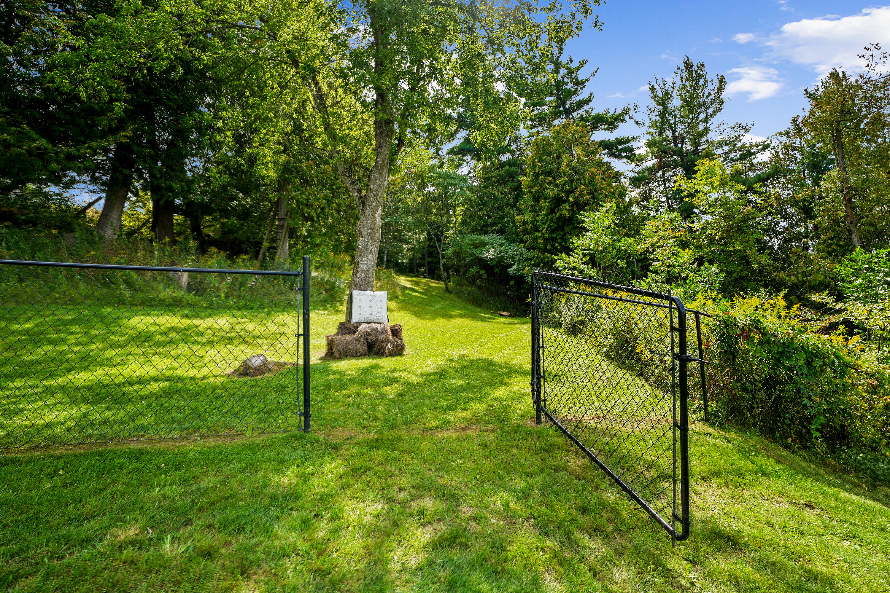 401 Concession  Road 11 East Rd