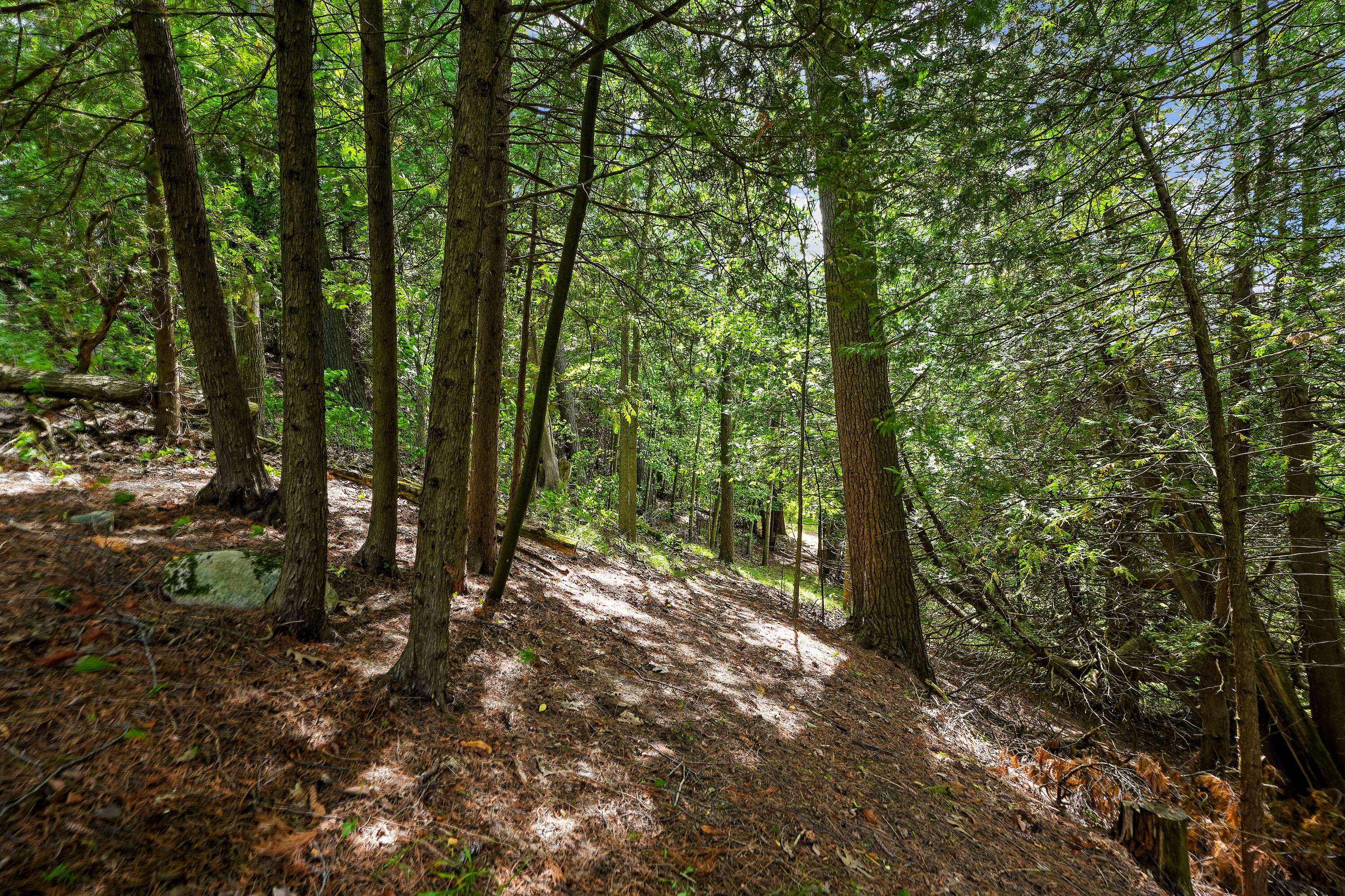 401 Concession  Road 11 East Rd
