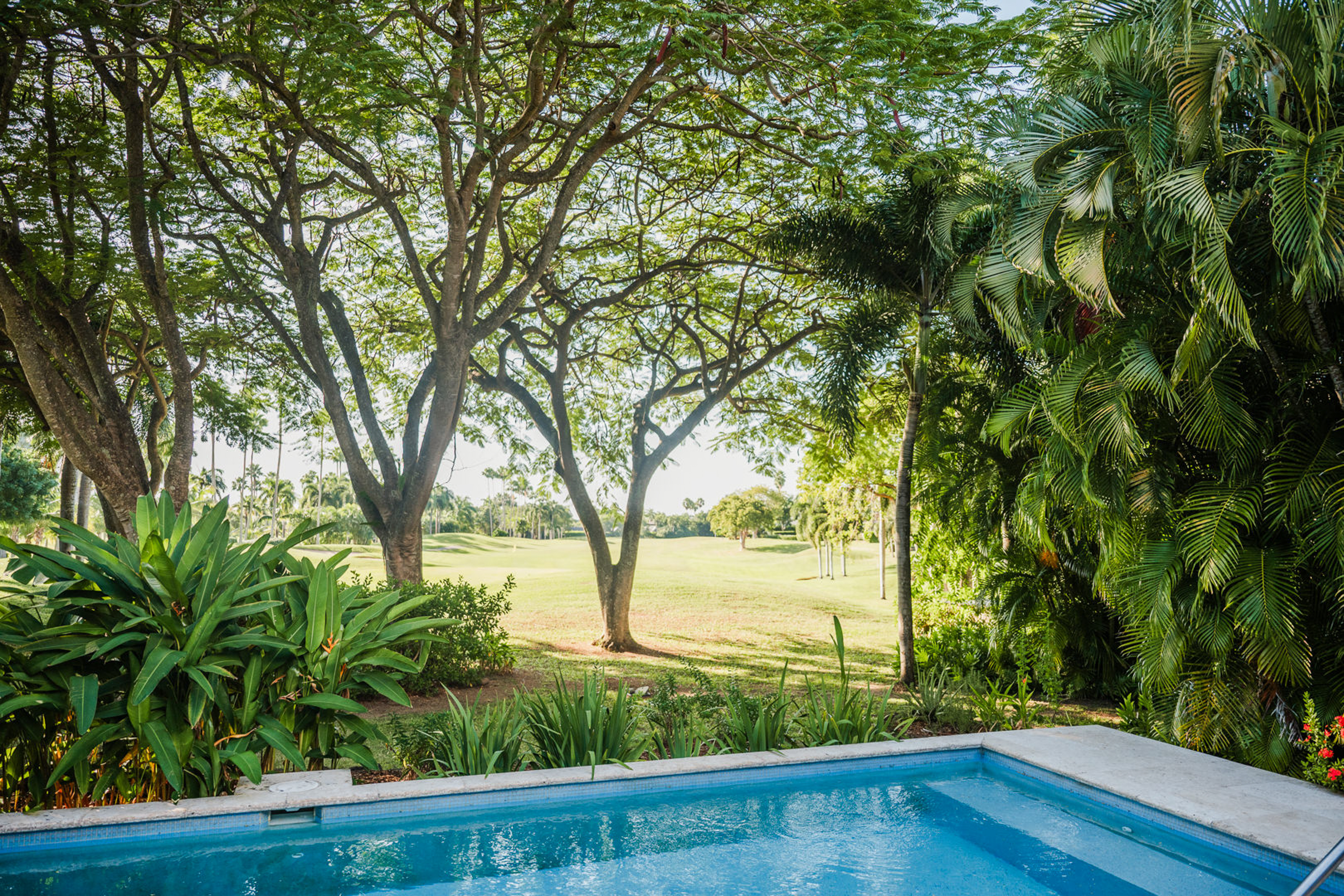 Palm Grove Villa 1407 