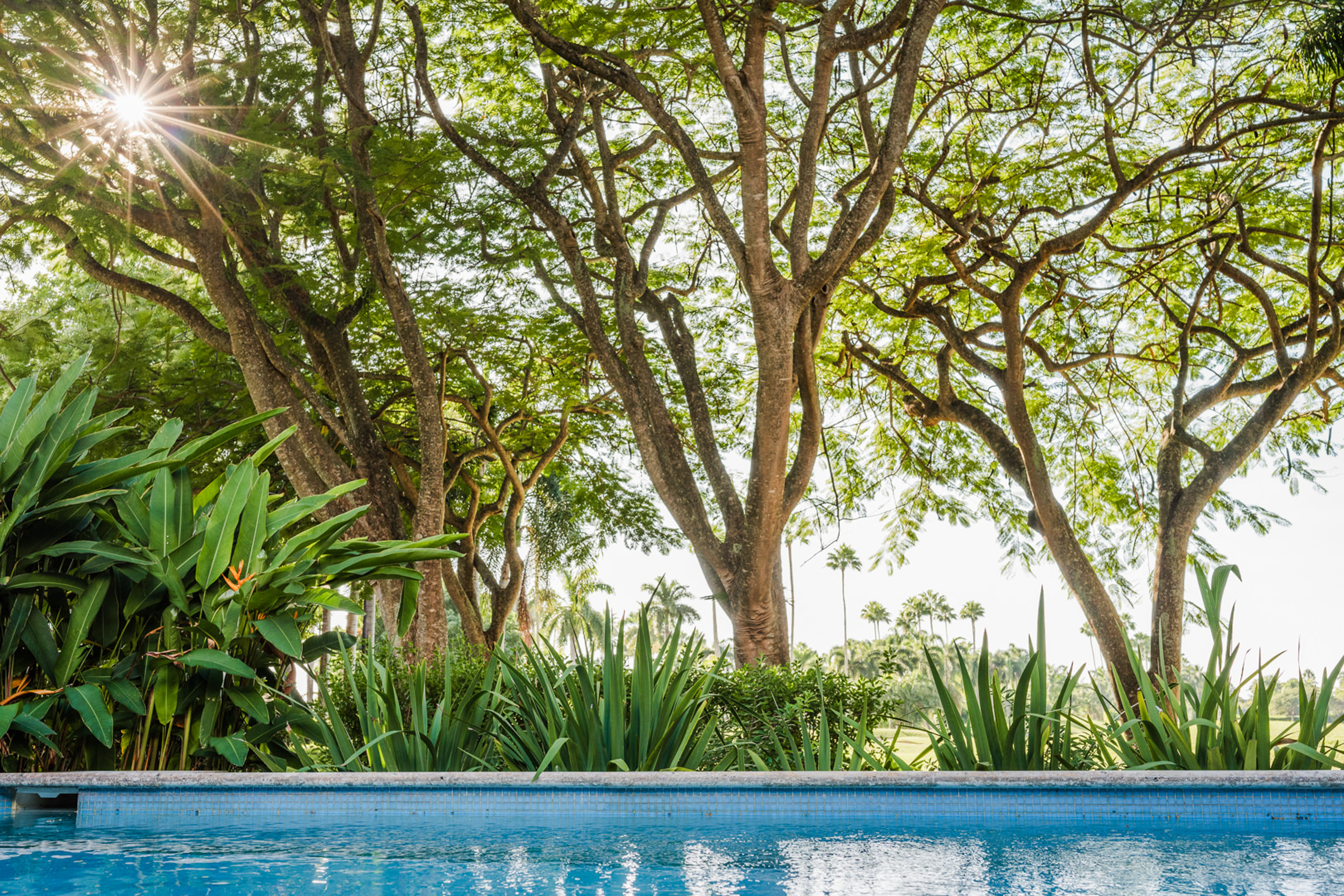 Palm Grove Villa 1407 