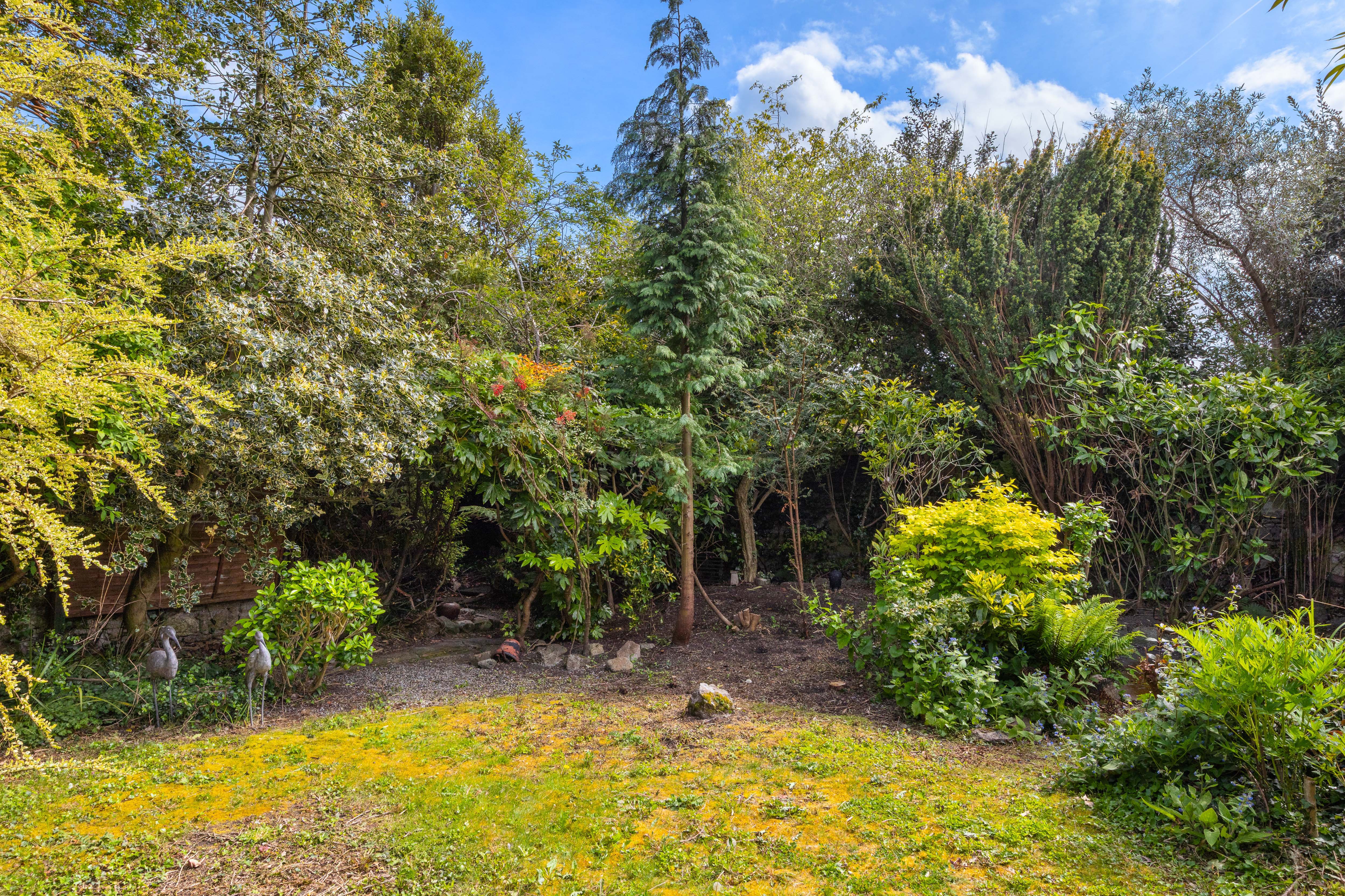 Springville 24 Cross Avenue 