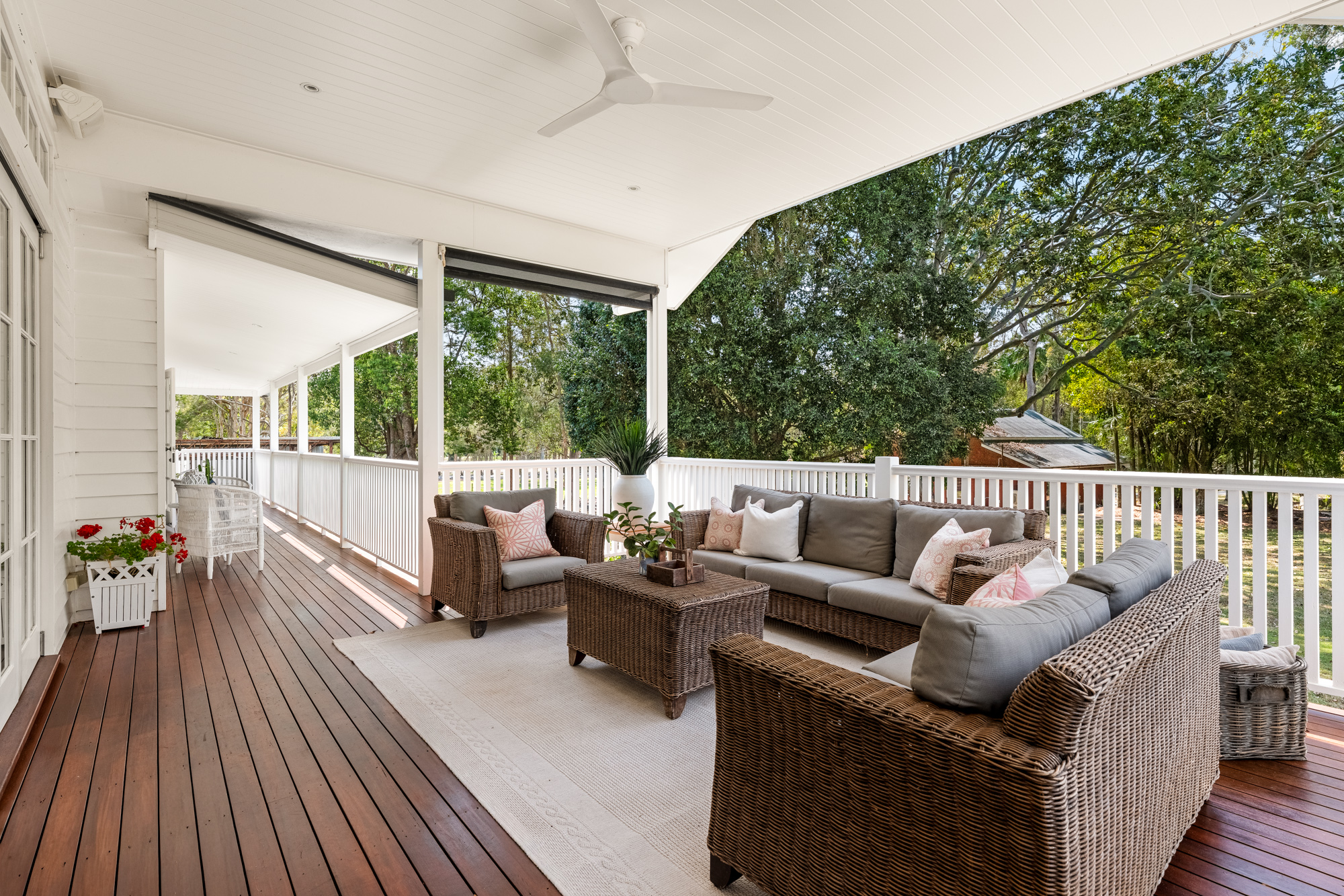 133 Warriewood Street Chandler