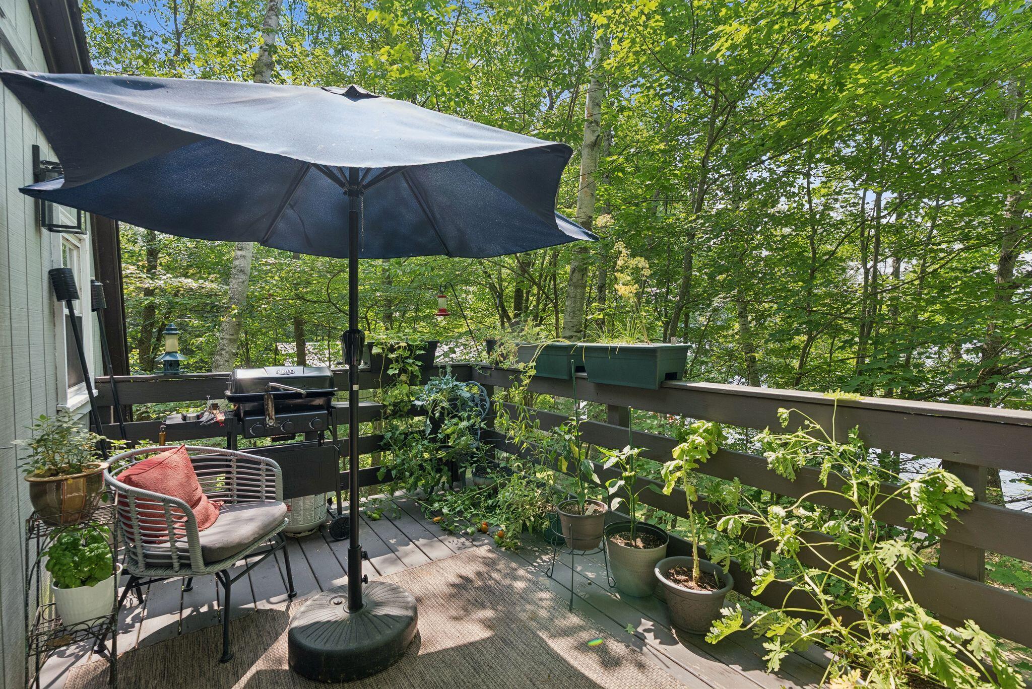 55 Birch Drive