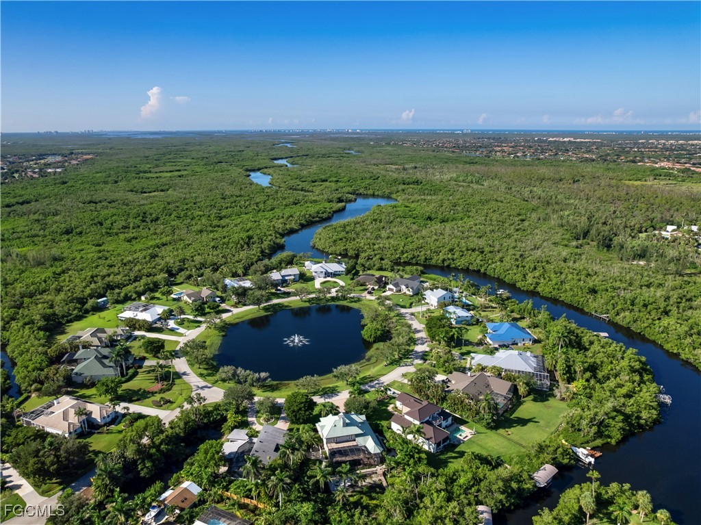 15660 Light Blue CIR