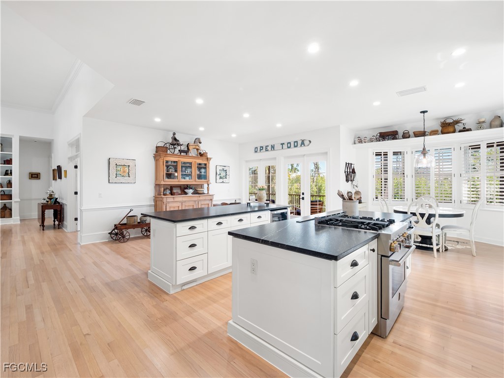 519 Kinzie Island CT