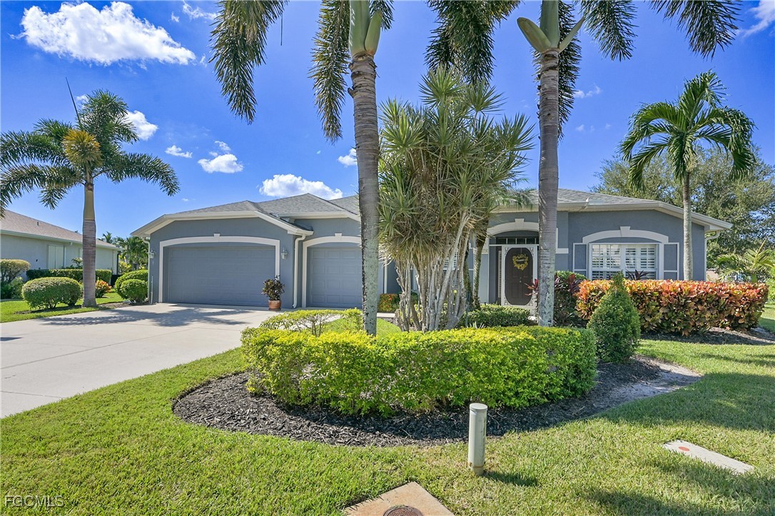 9609 Gladiolus Blossom CT