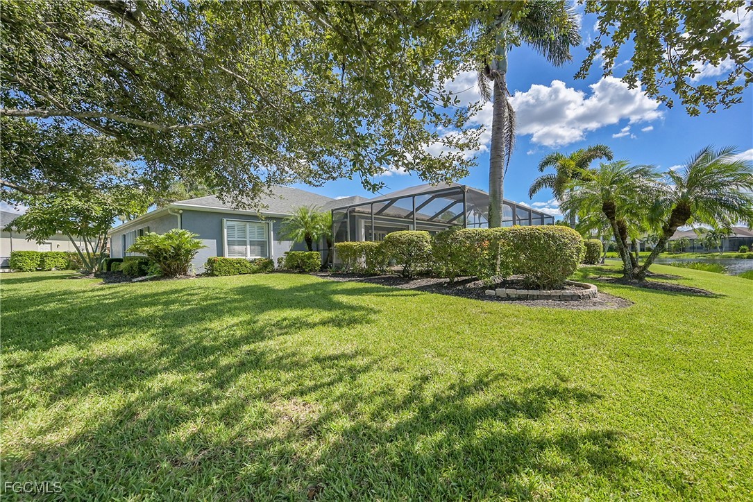 9609 Gladiolus Blossom CT