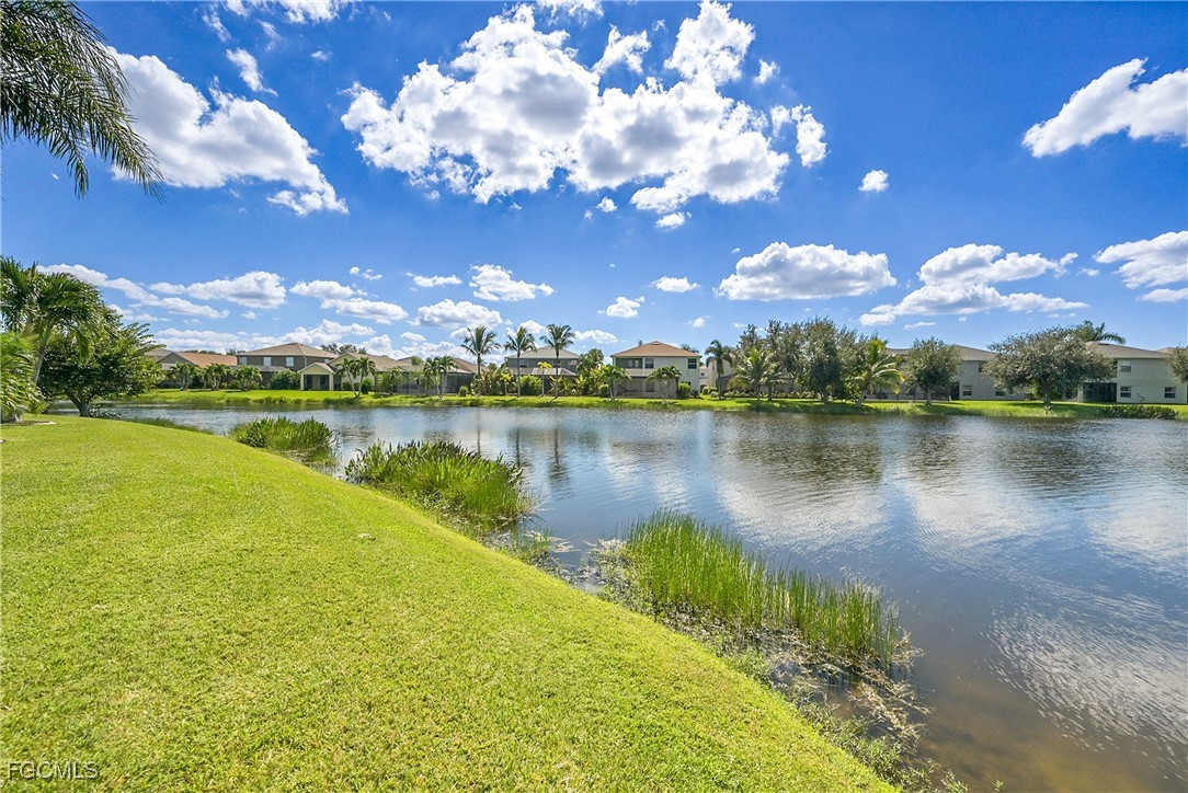 9609 Gladiolus Blossom CT