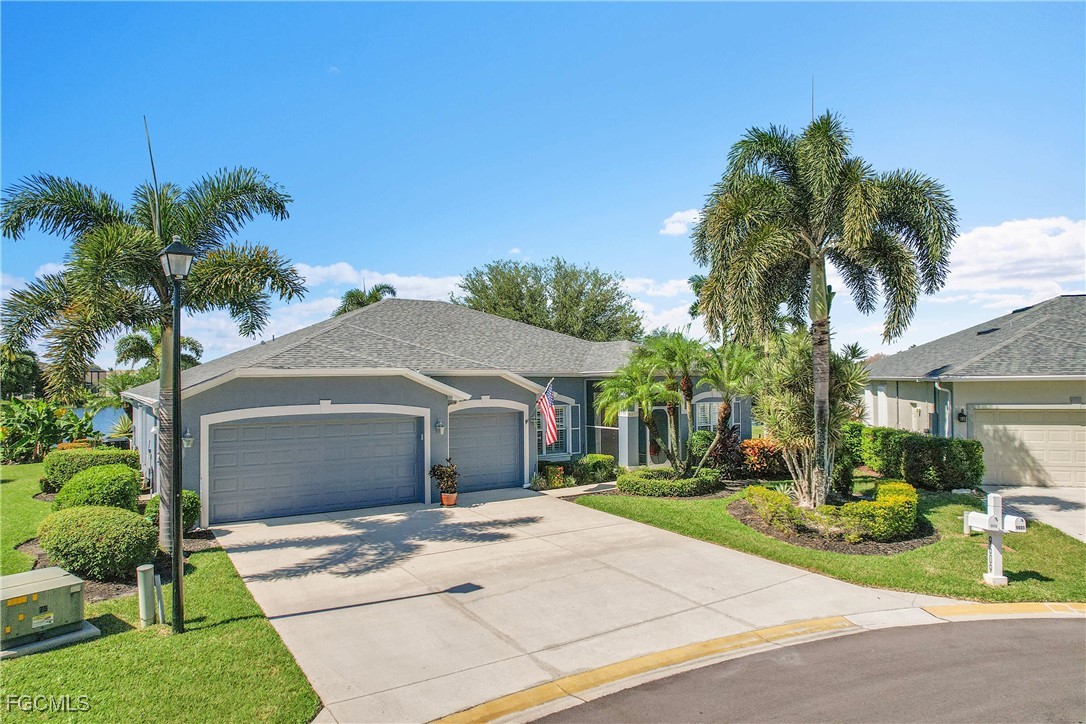 9609 Gladiolus Blossom CT