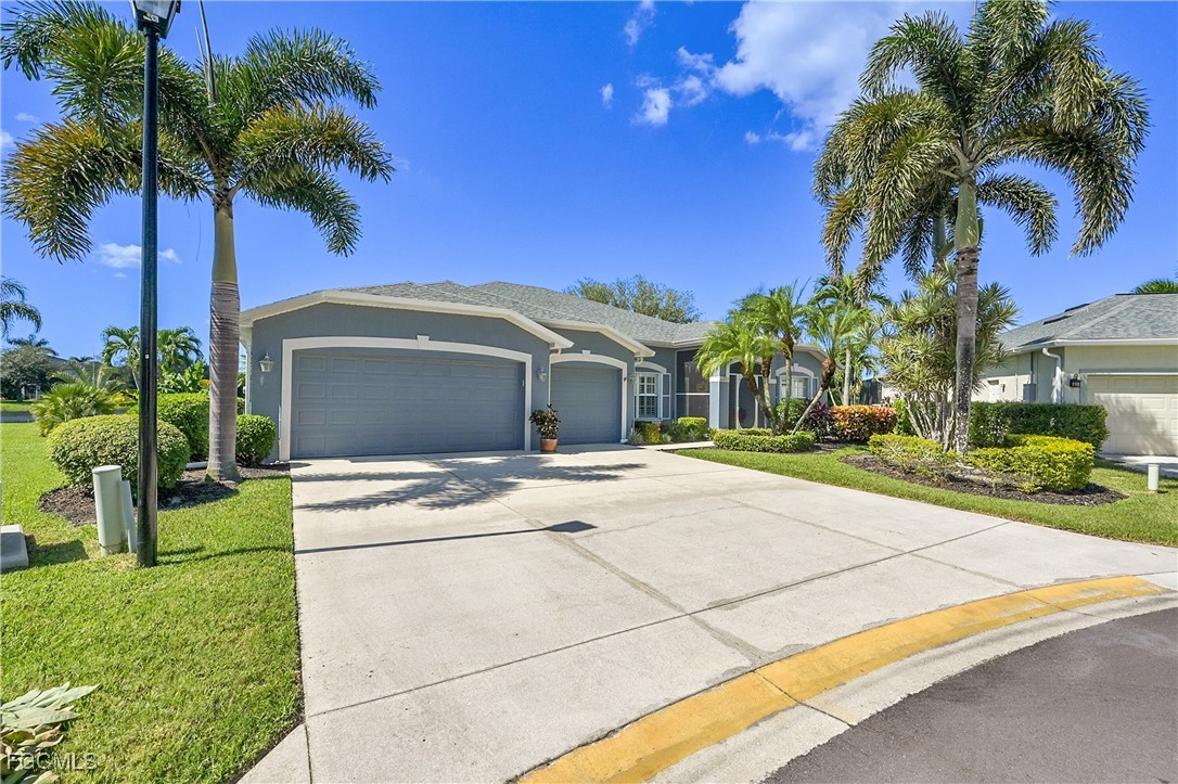 9609 Gladiolus Blossom CT