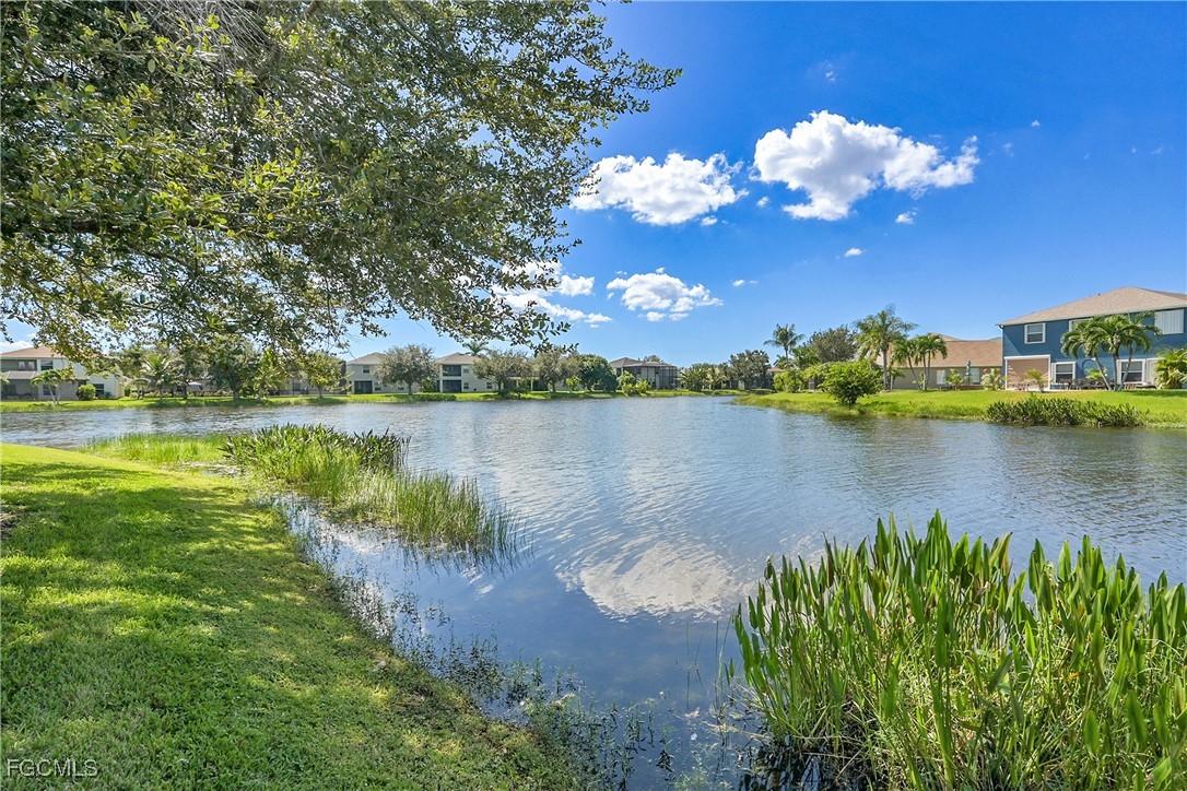 9609 Gladiolus Blossom CT