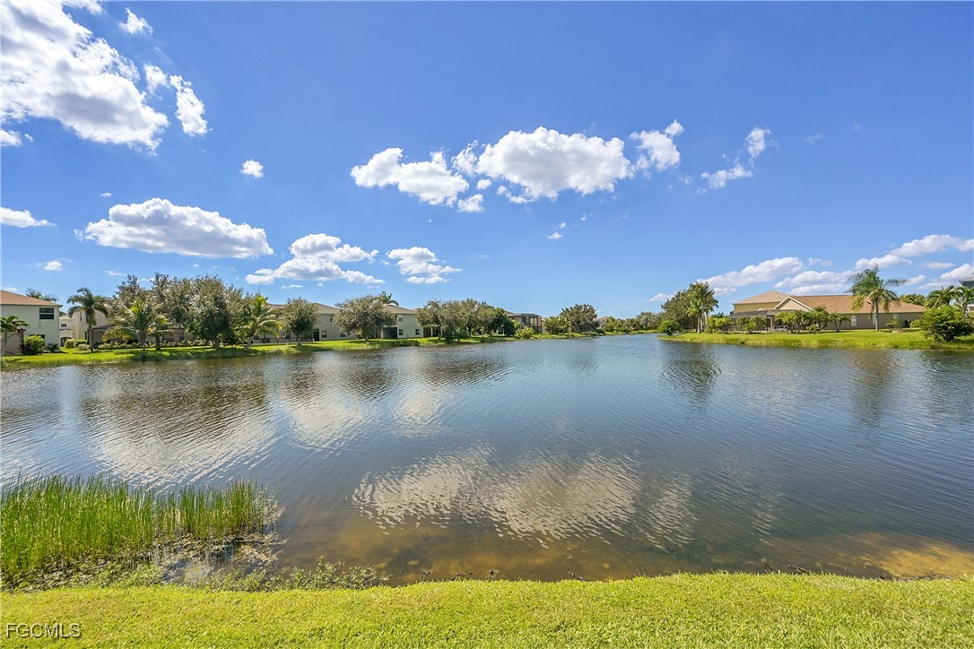 9609 Gladiolus Blossom CT