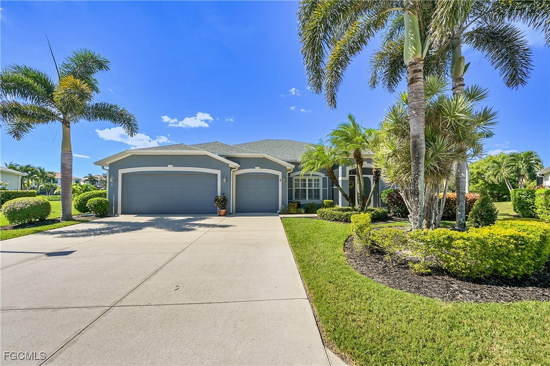 9609 Gladiolus Blossom CT