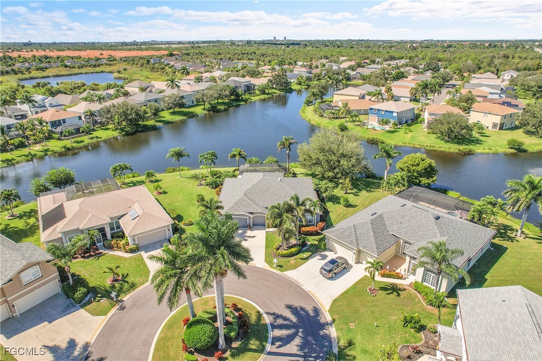 9609 Gladiolus Blossom CT