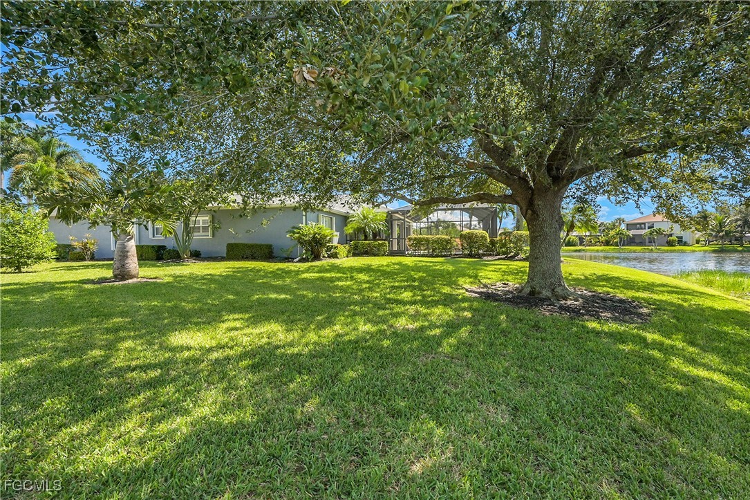 9609 Gladiolus Blossom CT