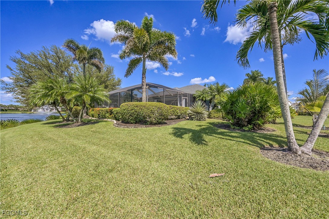 9609 Gladiolus Blossom CT