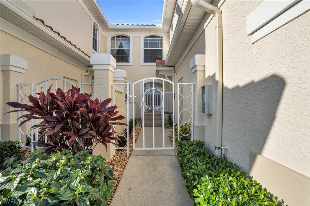 11251 Jacana CT 1904