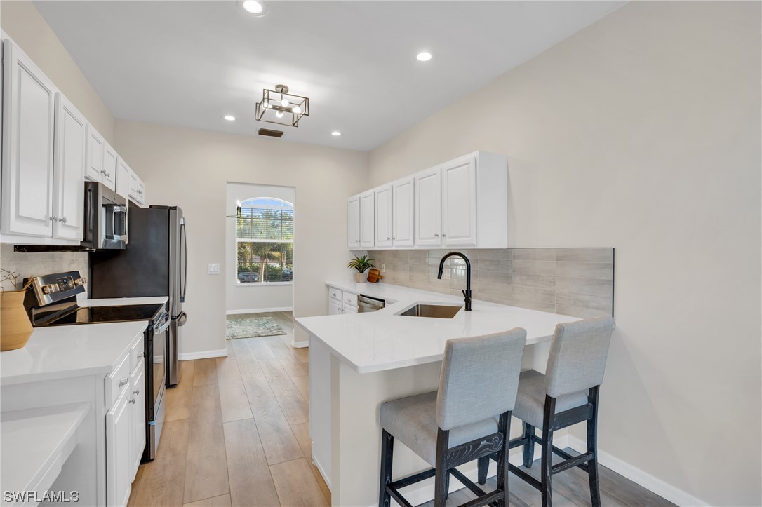 11251 Jacana CT 1904