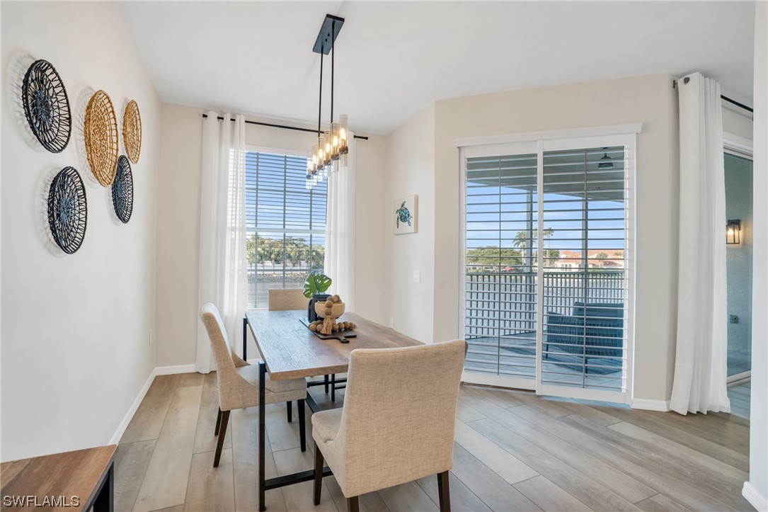 11251 Jacana CT 1904